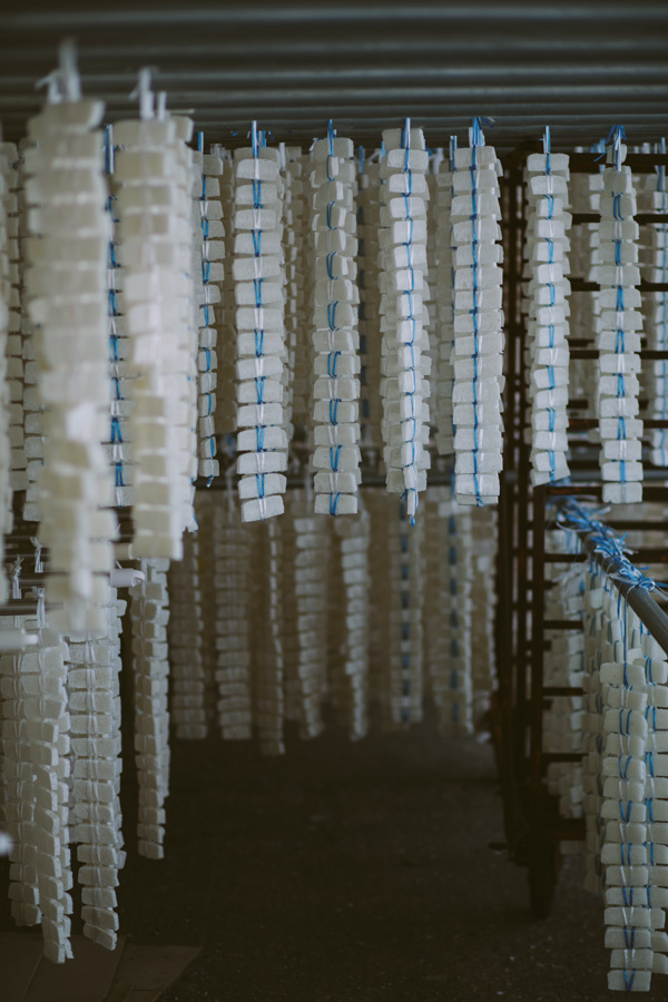 【連載】dancyu 『食の絶滅危惧種』