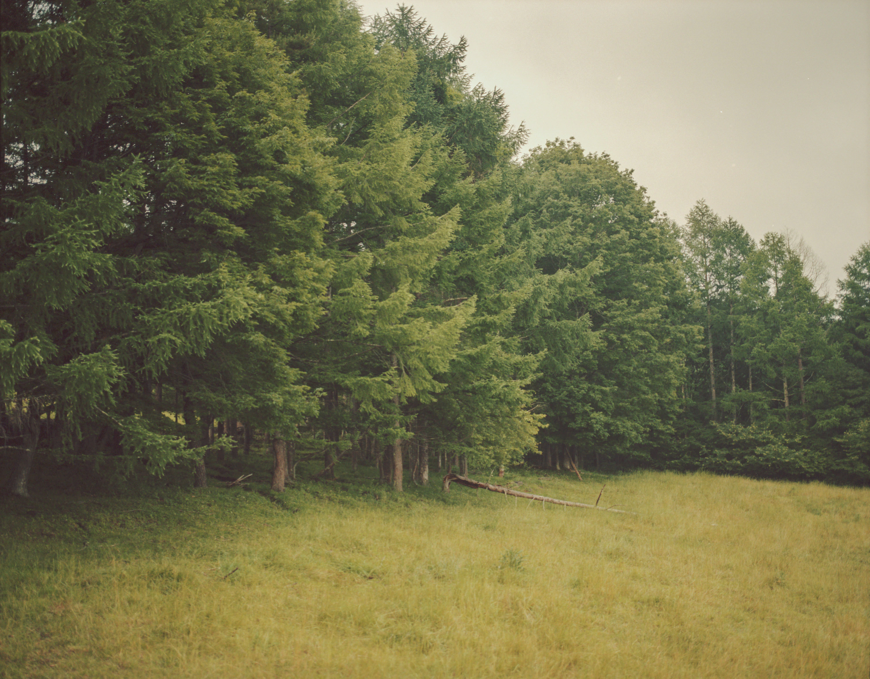 ZINE「 LANDING LAND」