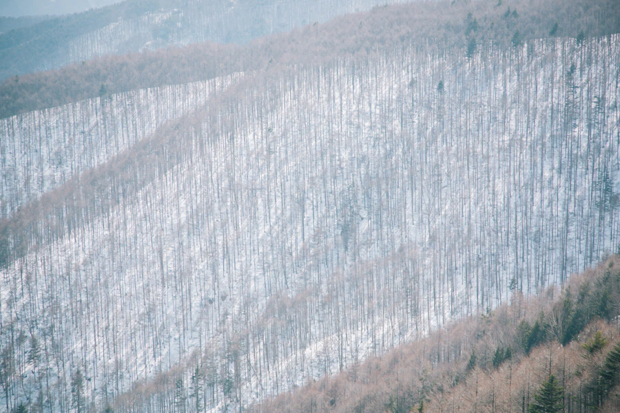evam eva 2015 winter