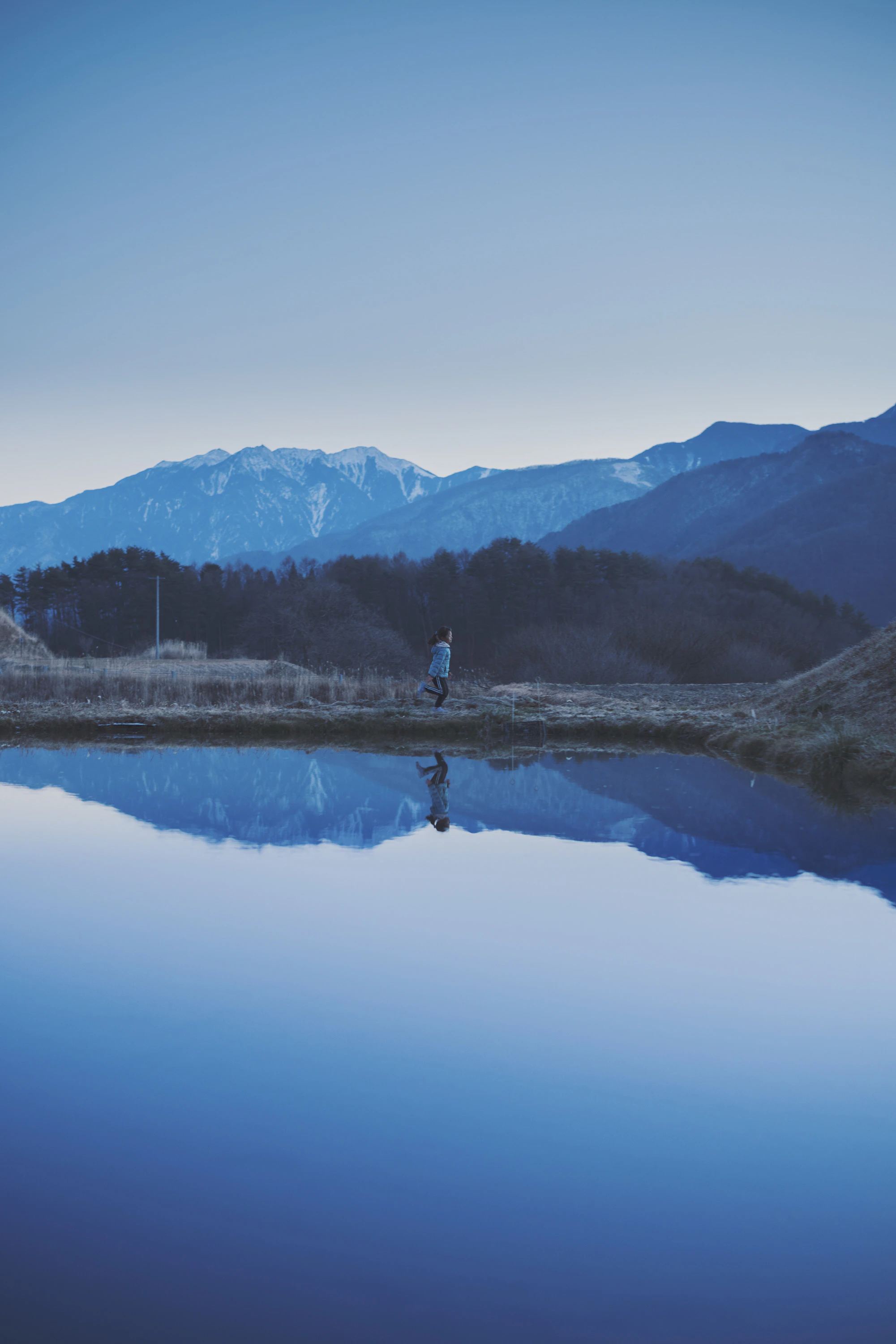 LANDING LAND 透明な日常 2025 /1/2〜3/2写真展を開催