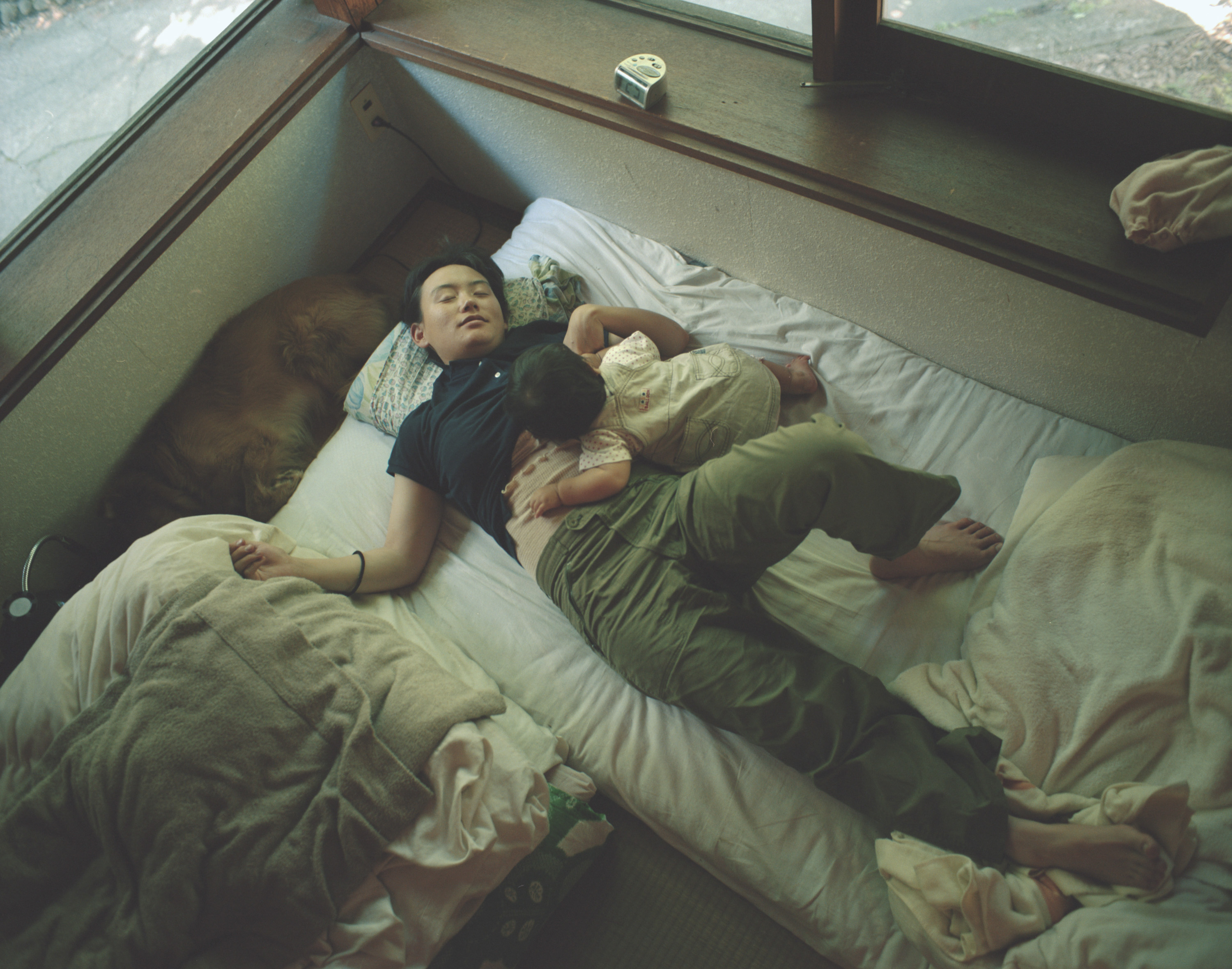 LANDING LAND 透明な日常