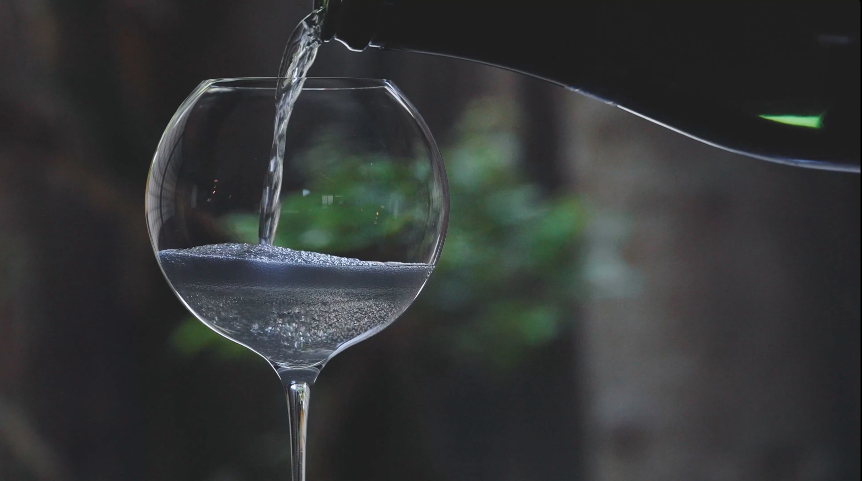 七賢 水のゆくすえ