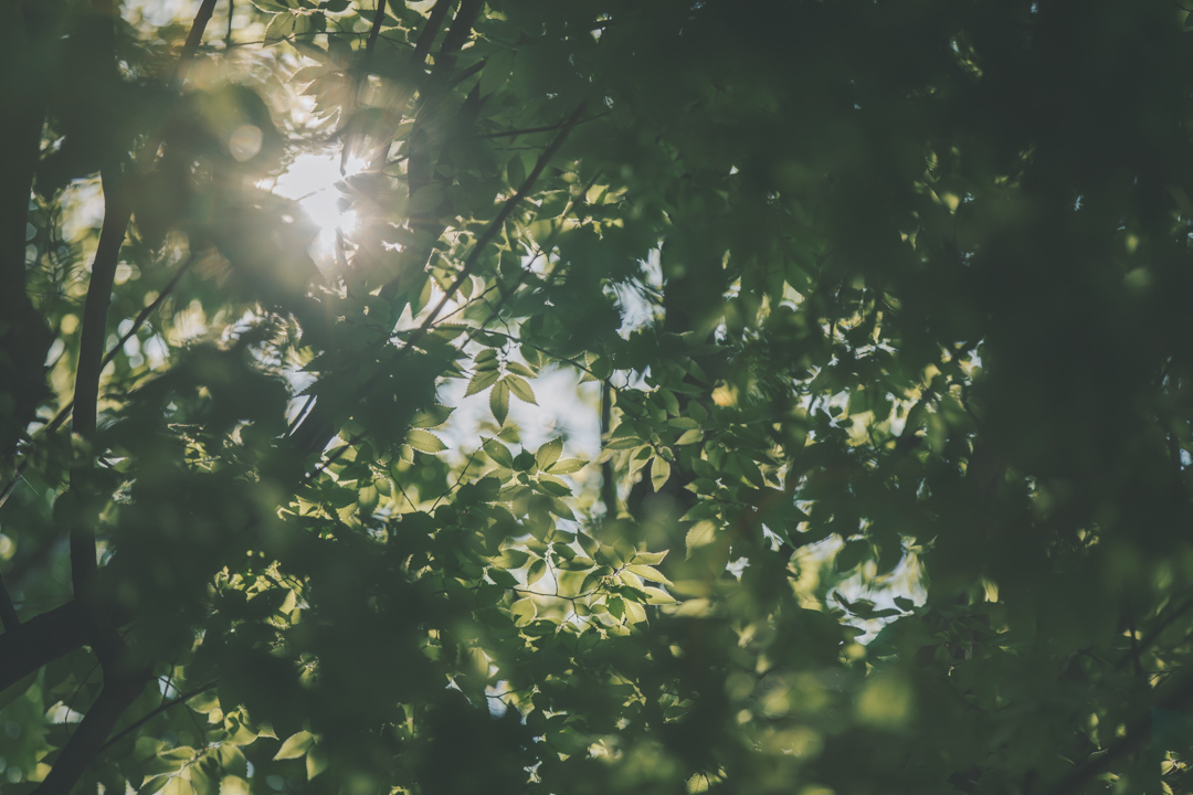 女子美術大学　2018学校案内