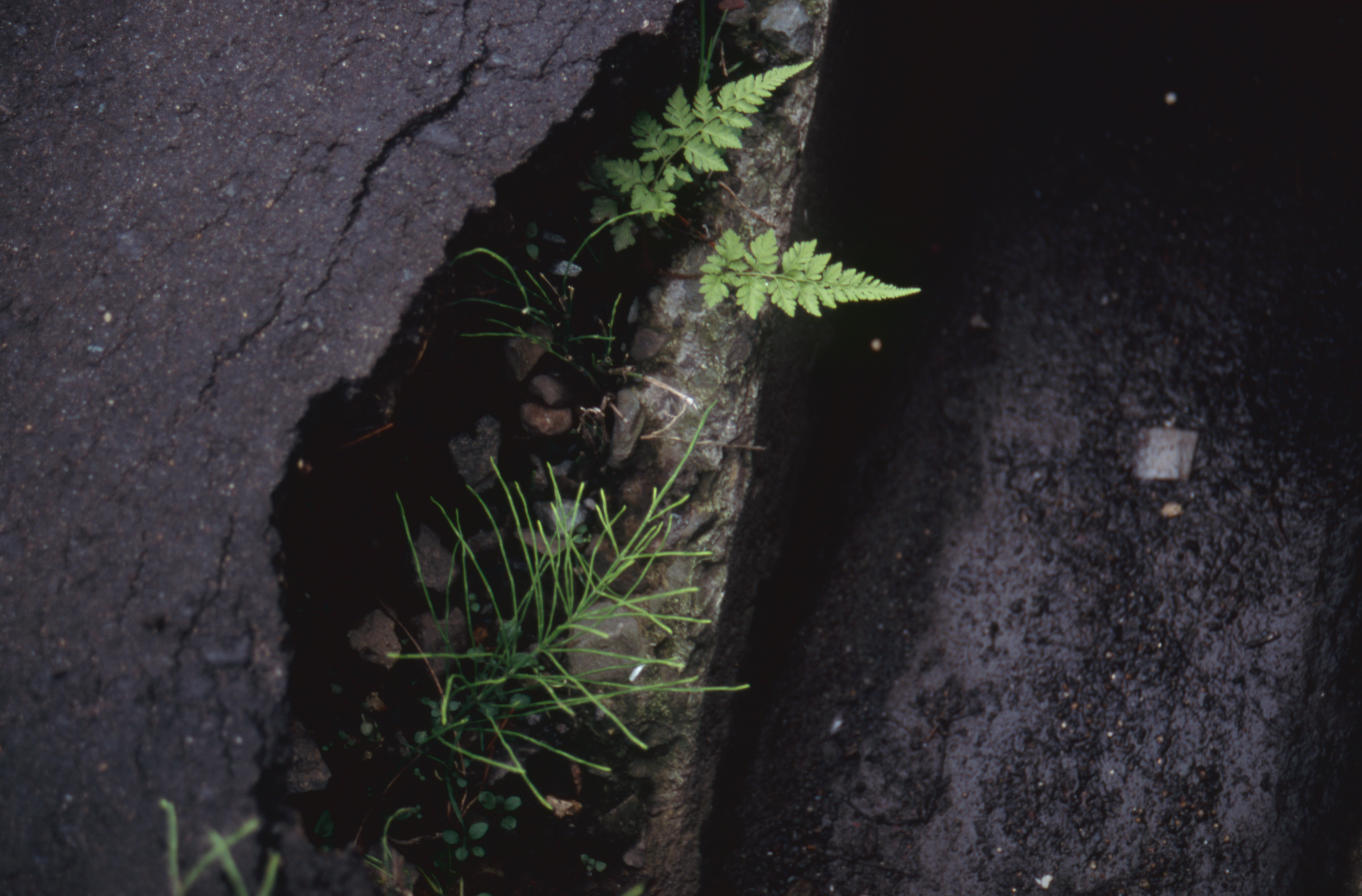 日々の隙間　2005