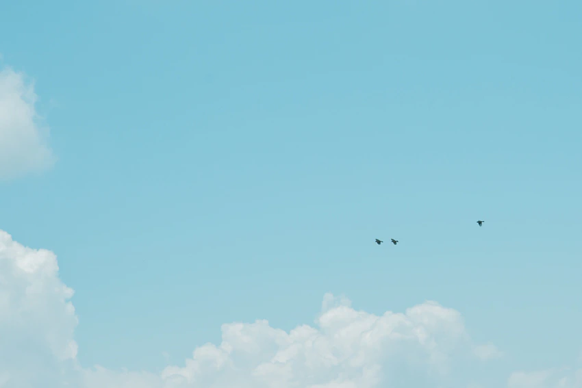 あっこさんと八ヶ岳。