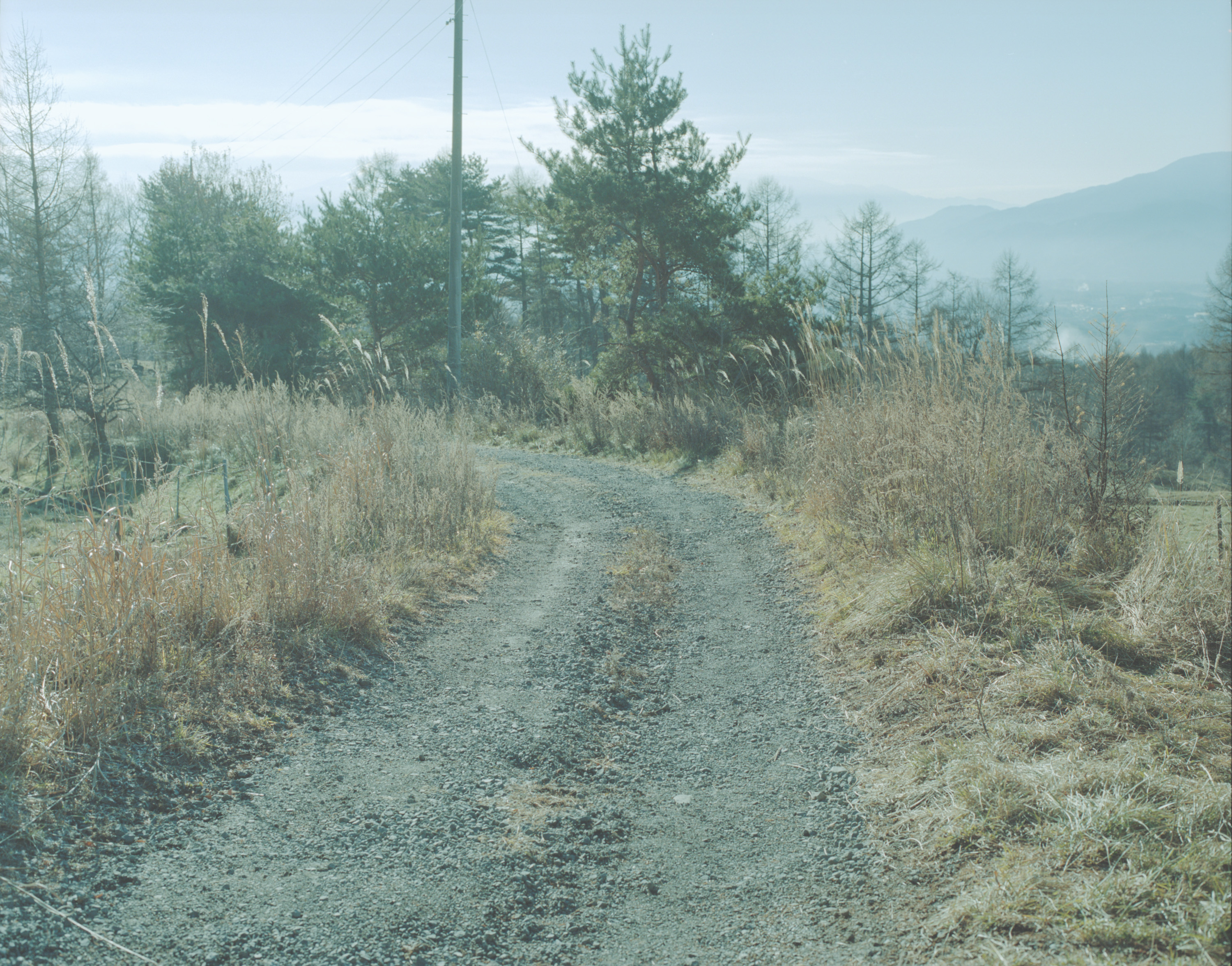 ZINE「 LANDING LAND」