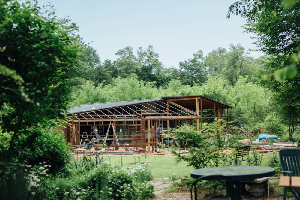 NomosとDeco Botanical