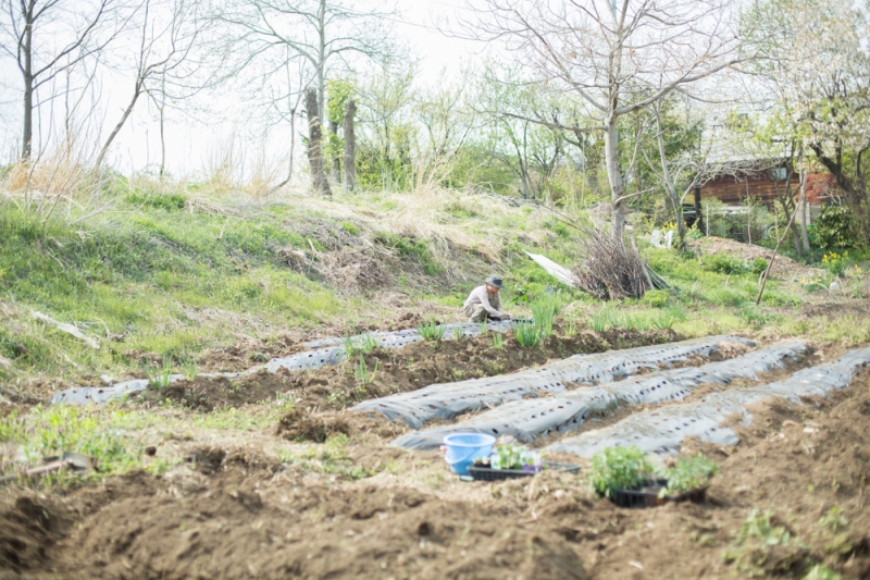 畑のはじまり。