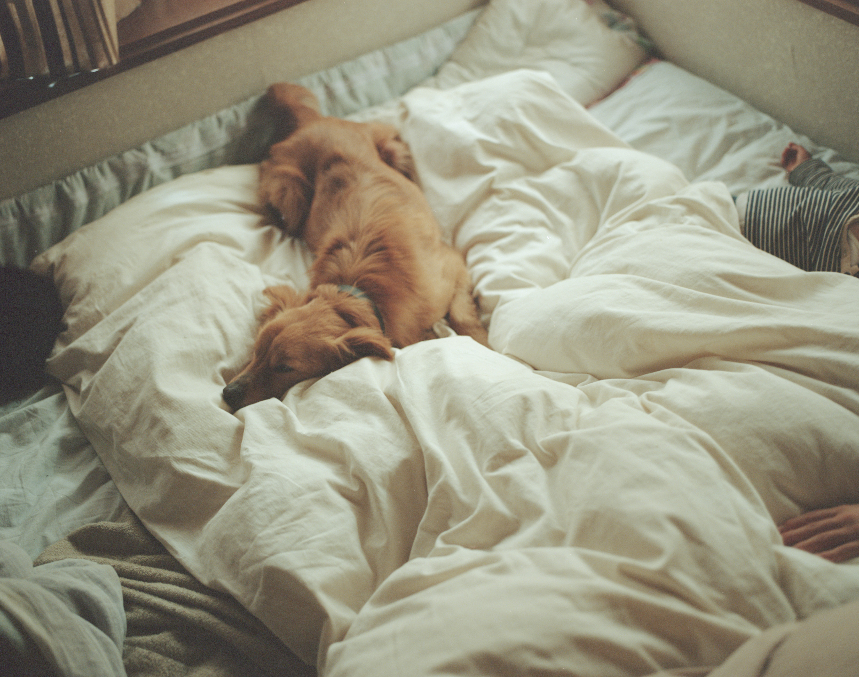 LANDING LAND 透明な日常