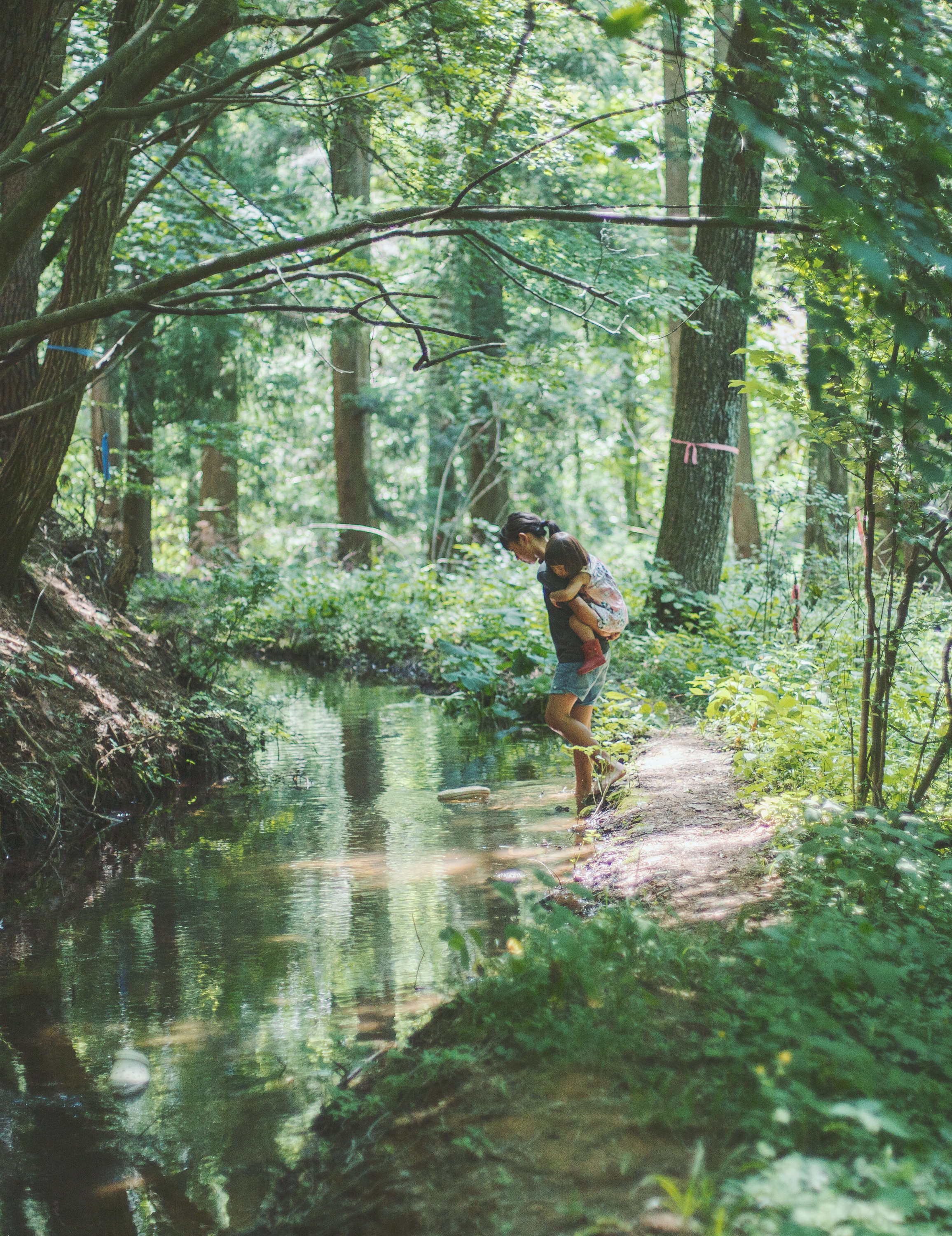 暮しの手帖　トビラ