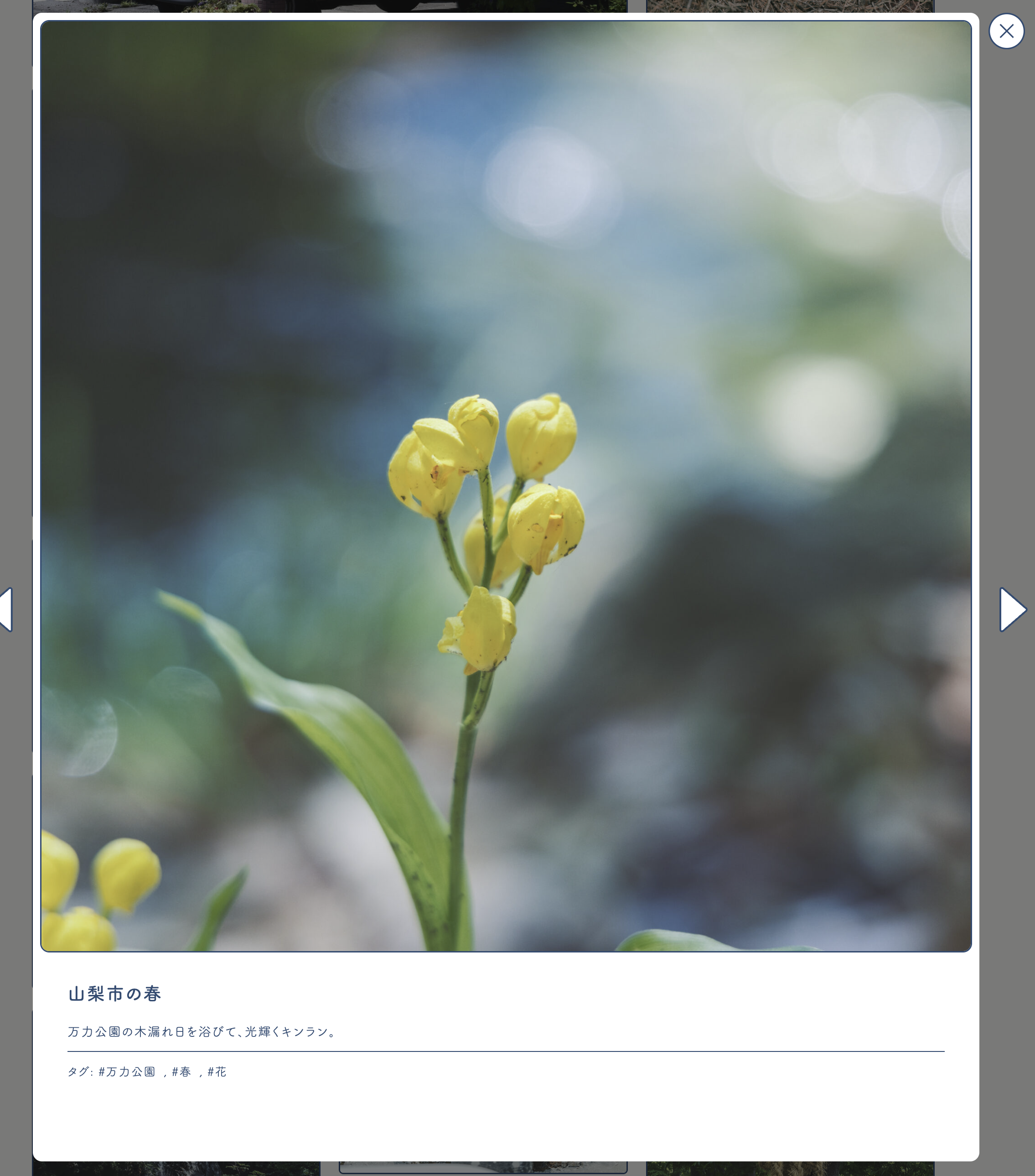 みるしるめぐるやまなしし