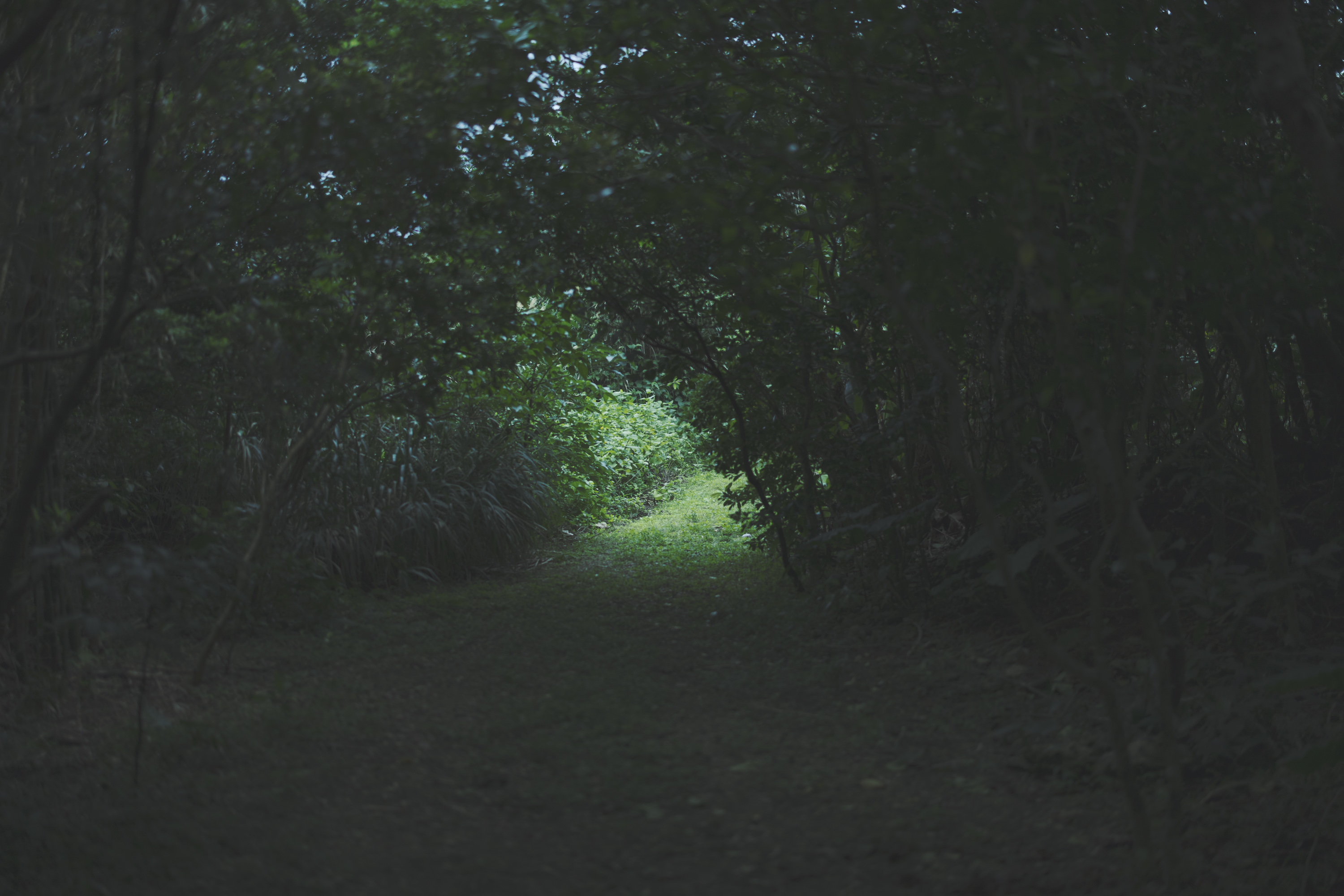 Jurgen Lehl & Babaghuri 2022 summer Collection