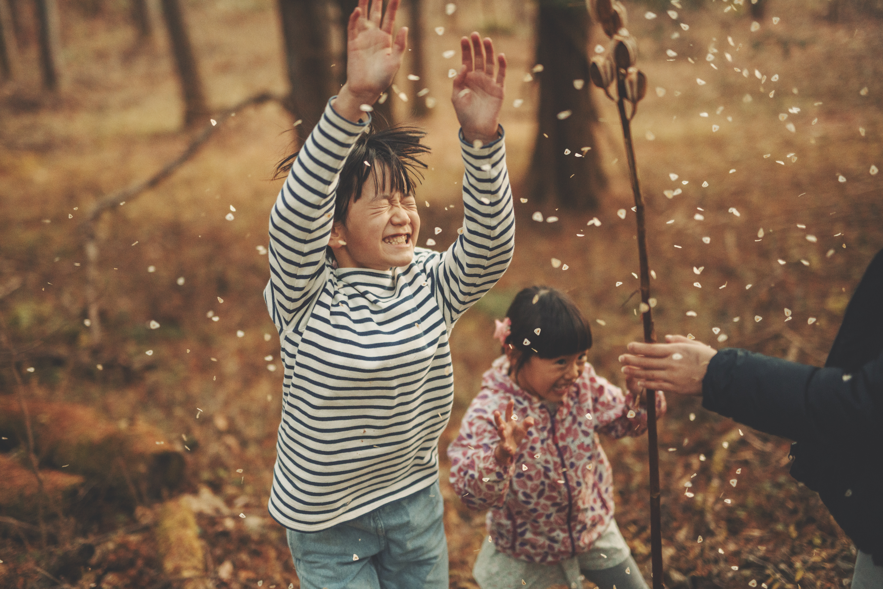 暮しの手帖　トビラ