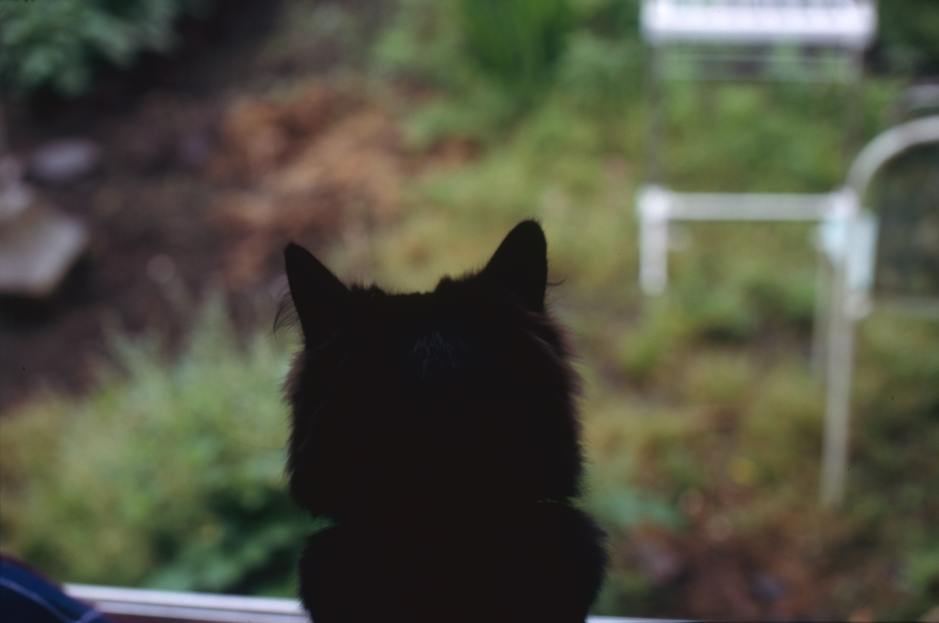 日々の隙間　2005