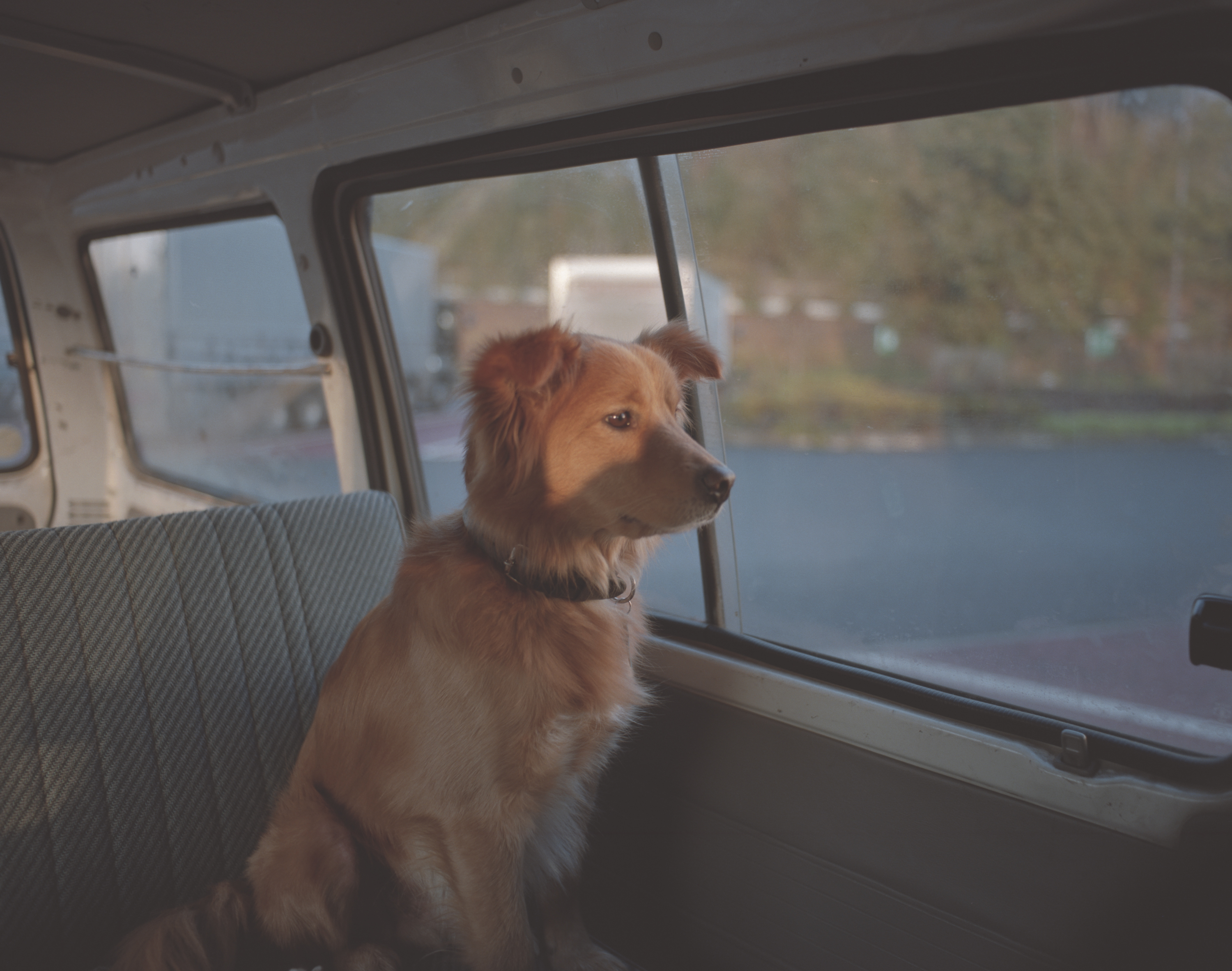 続　日々の隙間　2018