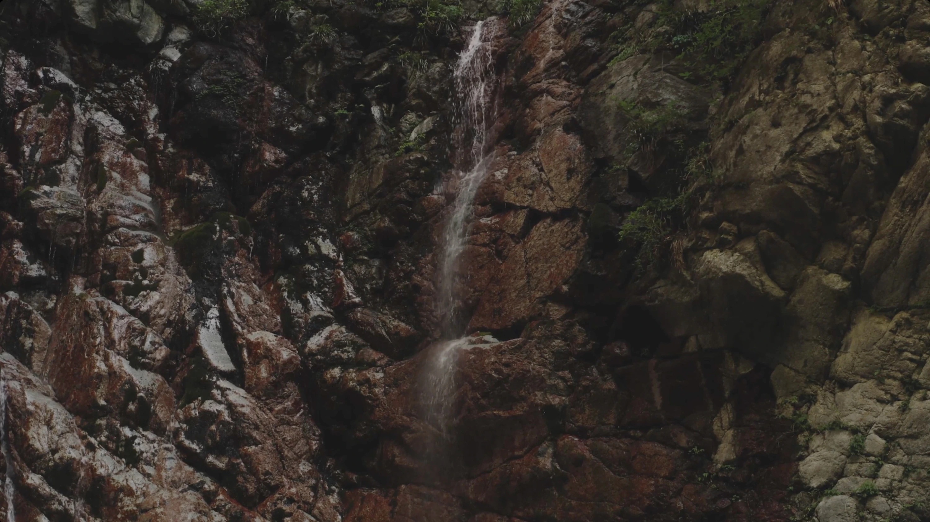 七賢 水のゆくすえ