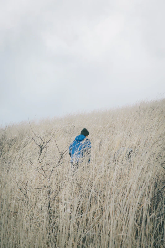 年の瀬の八島湿原