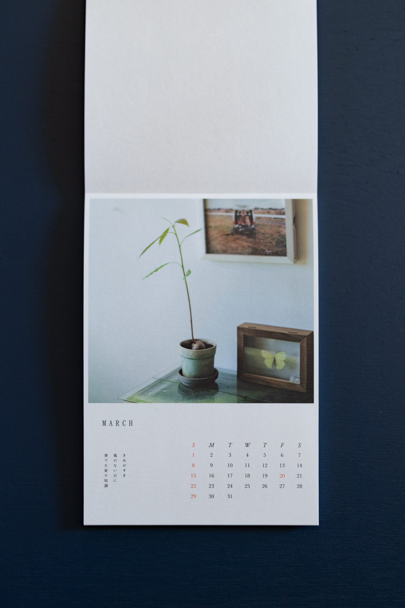 CALENDER 2026 「LONG SEASON」　