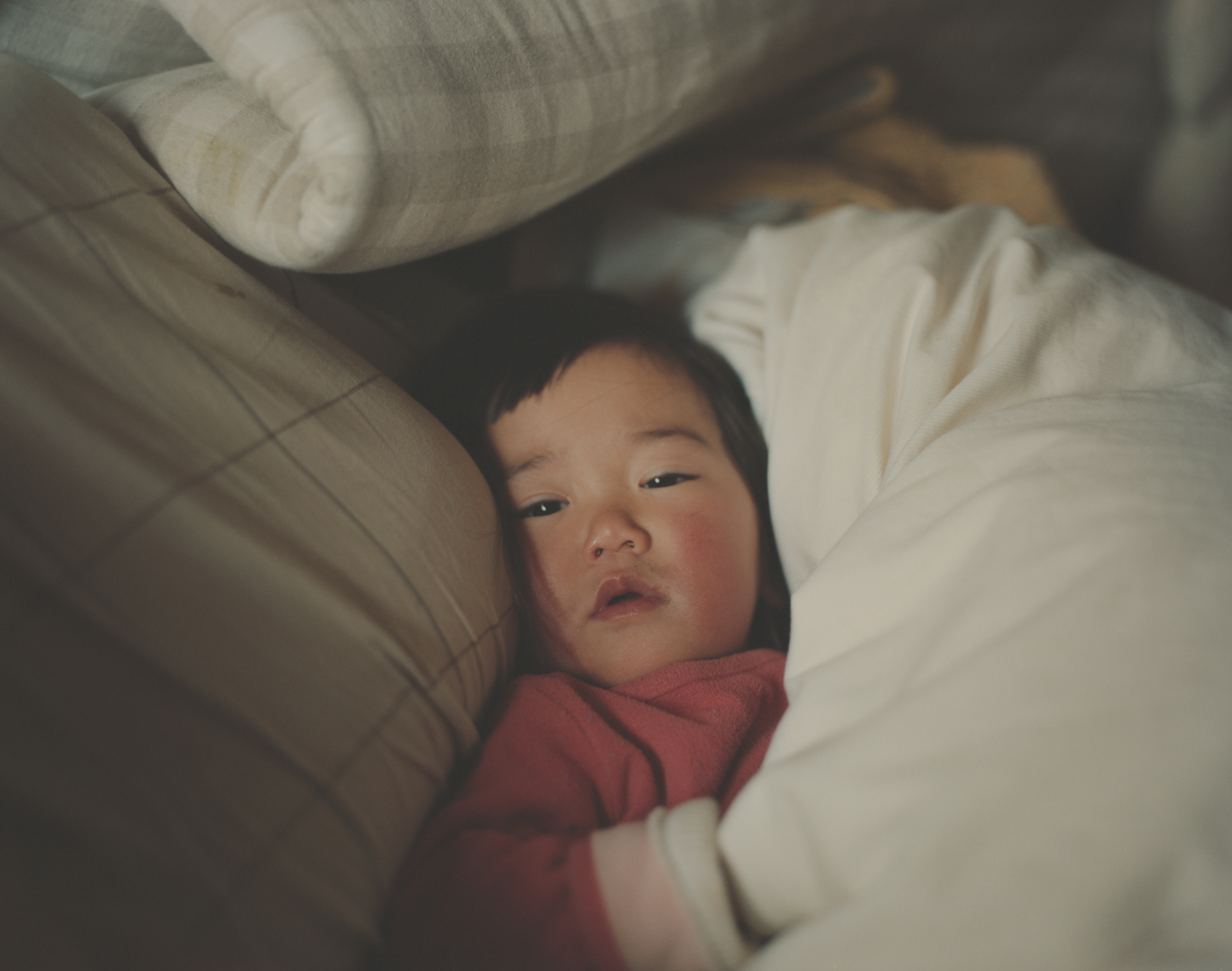 続　日々の隙間　2018