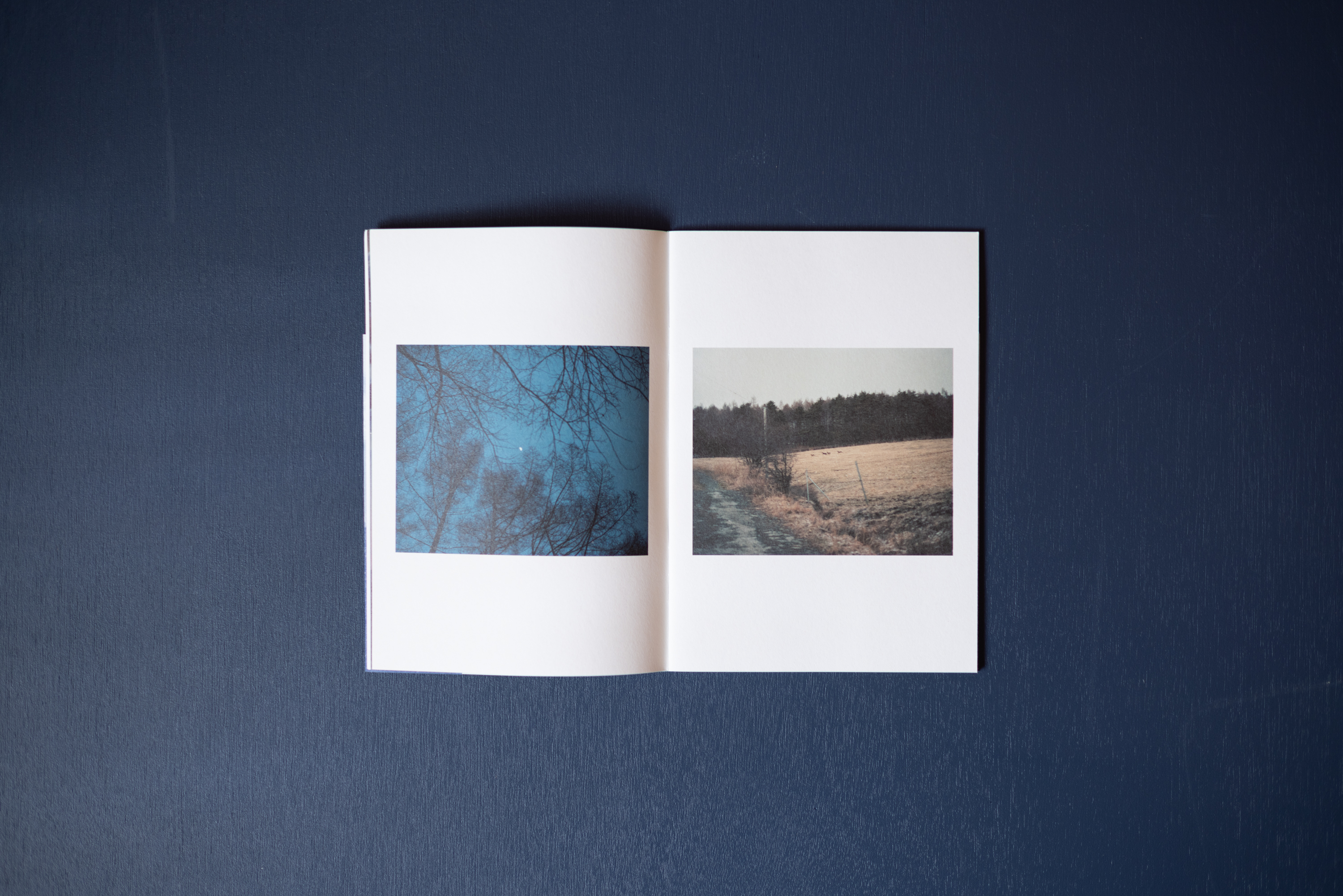 ZINE「 LANDING LAND」