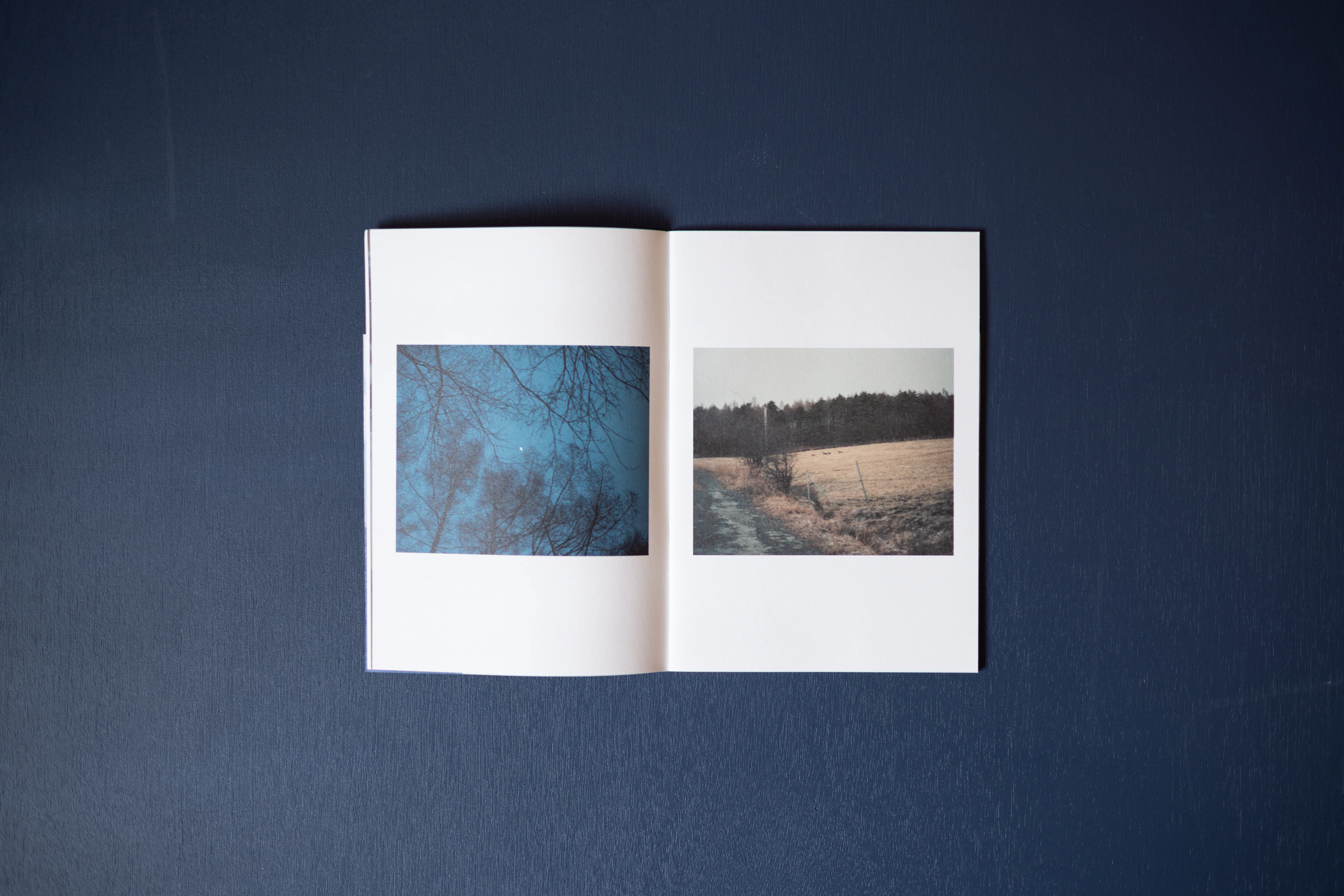 ZINE「 LANDING LAND」