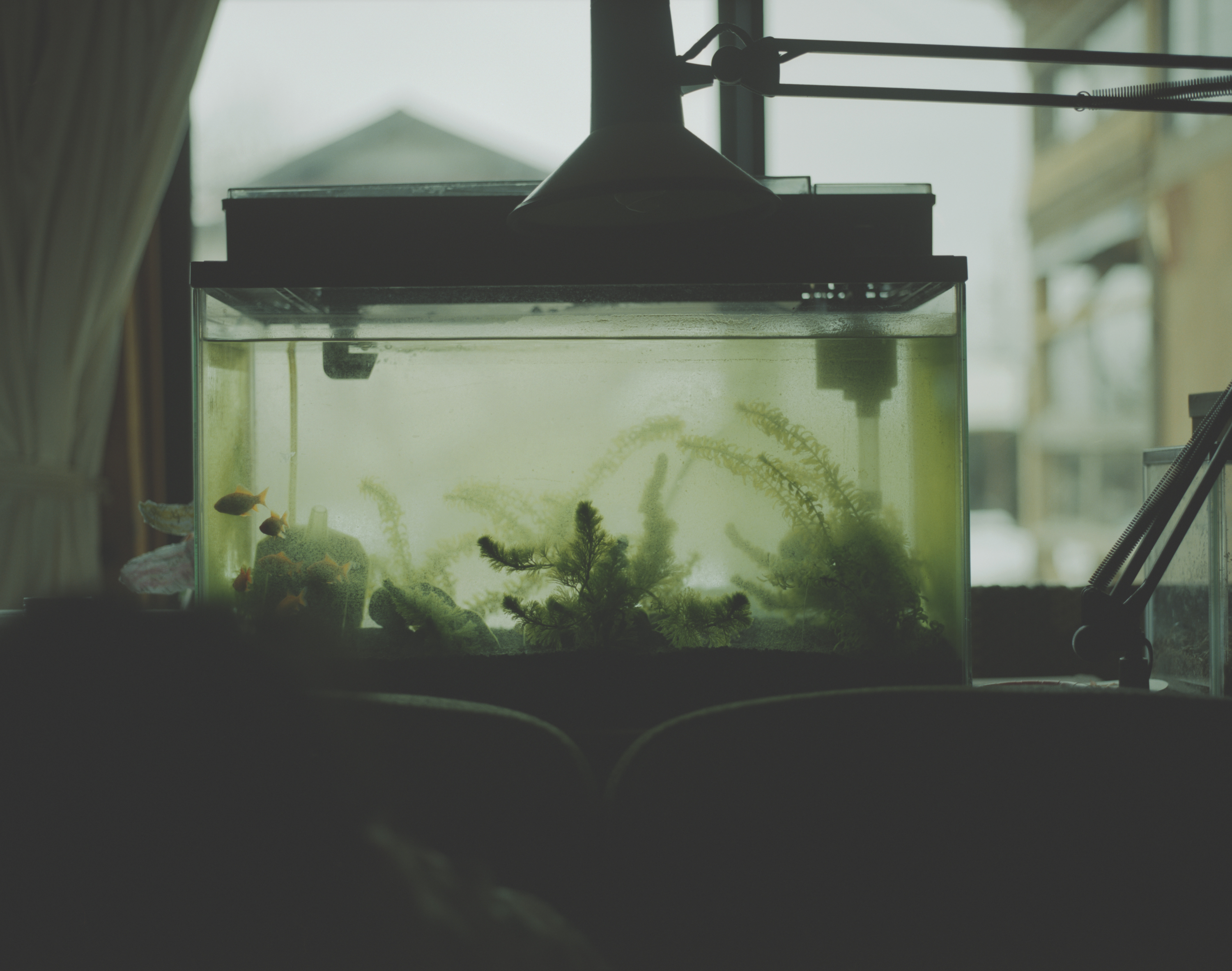 続　日々の隙間　2018