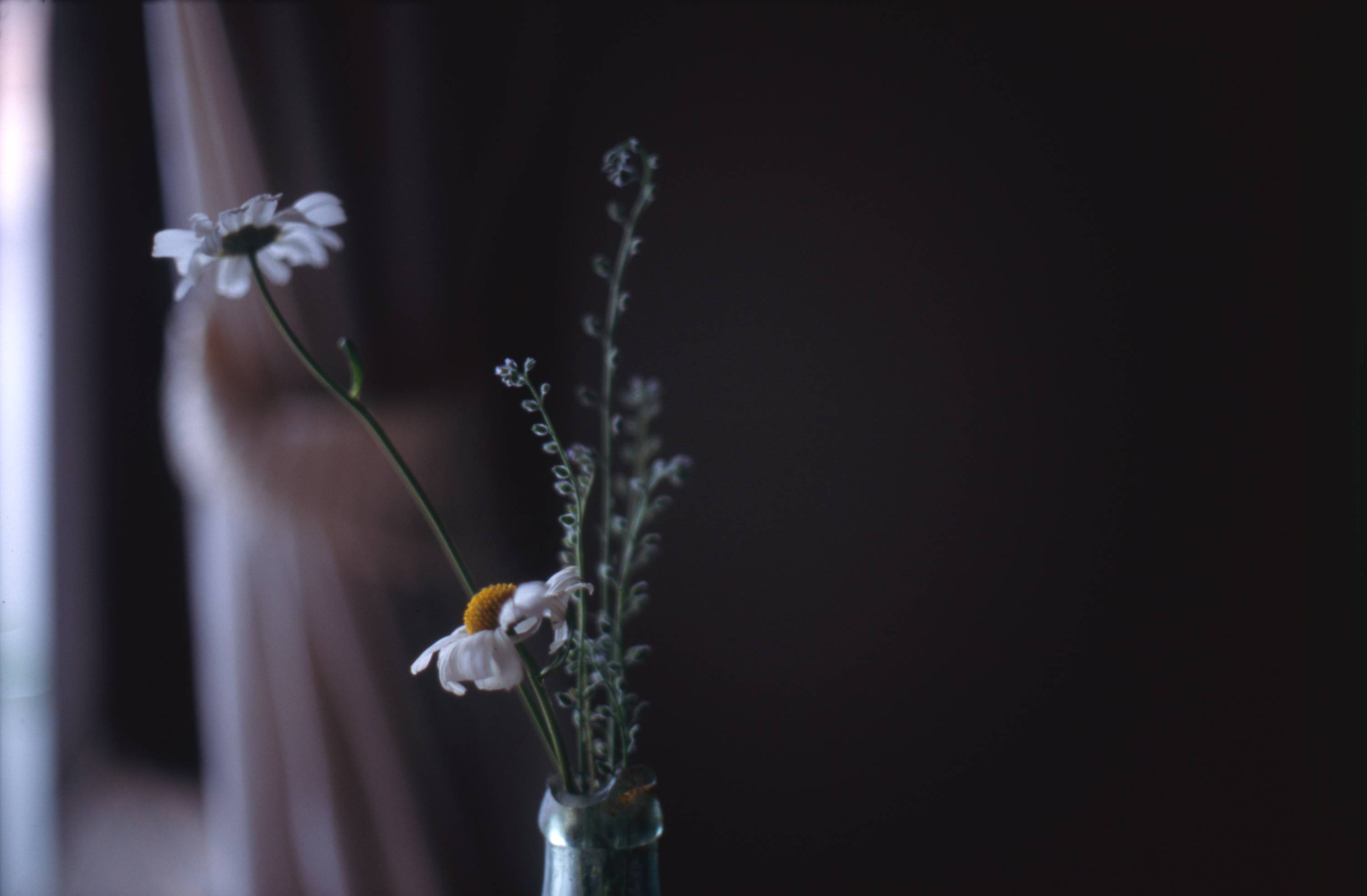 日々の隙間　2005