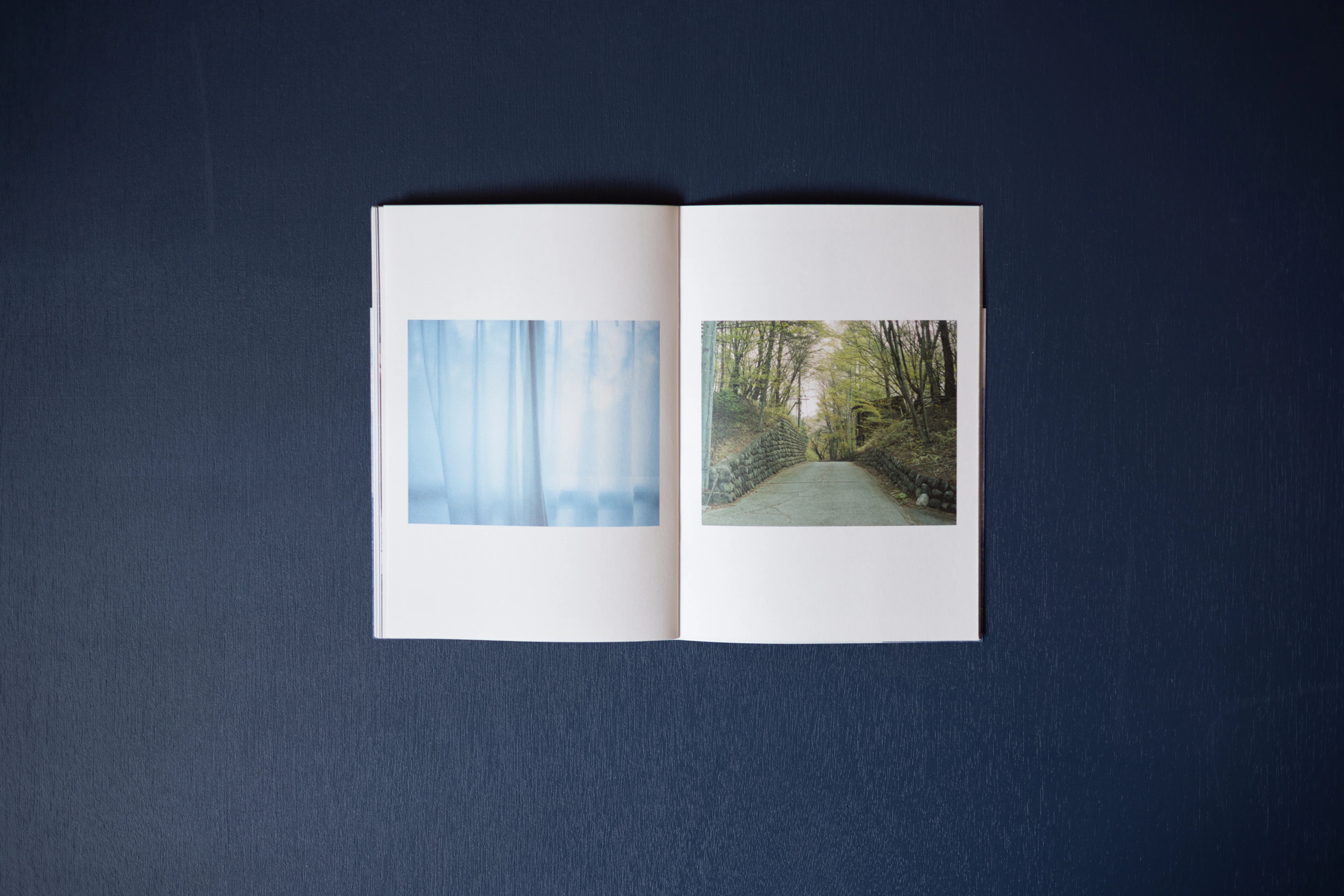 ZINE「 LANDING LAND」