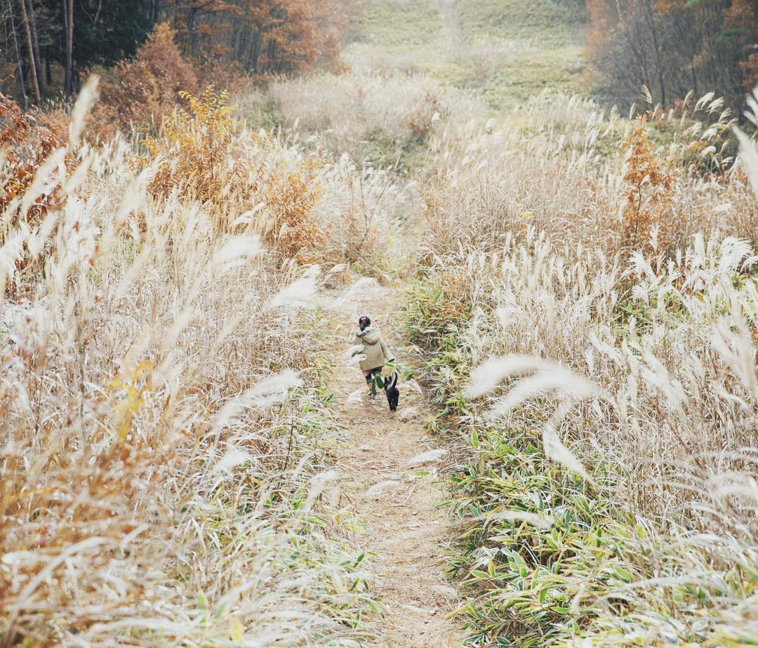 初めて来る道で。