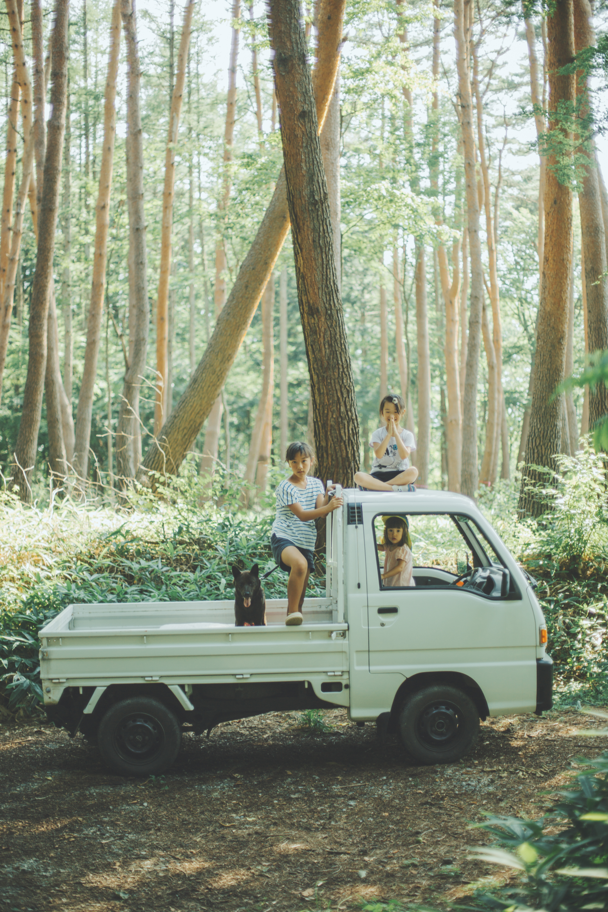 暮しの手帖　トビラ