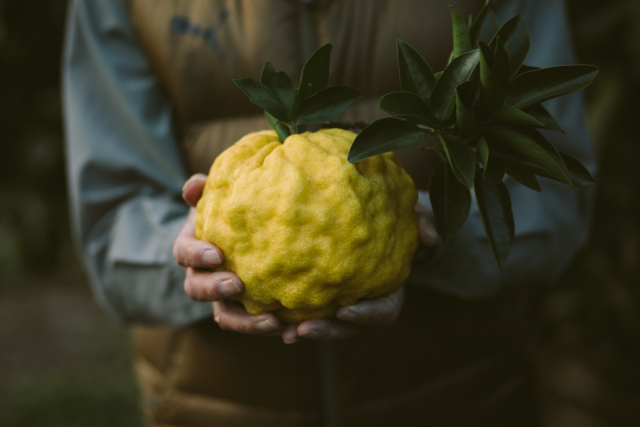 【連載】dancyu 『食の絶滅危惧種』