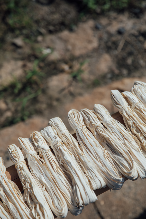 【連載】dancyu 『食の絶滅危惧種』