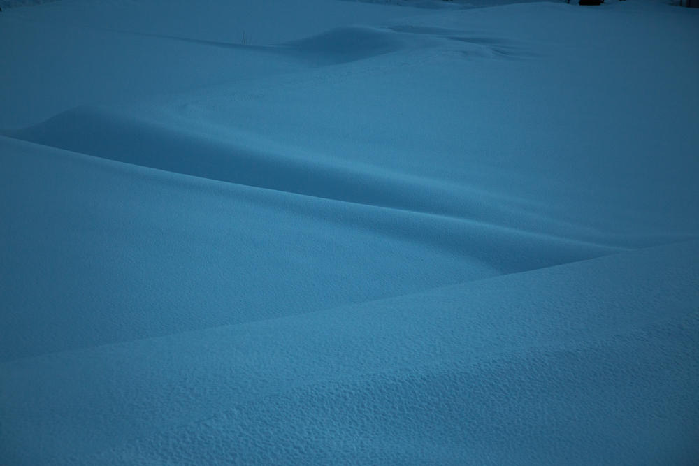 大雪のあとのあたたかさ。