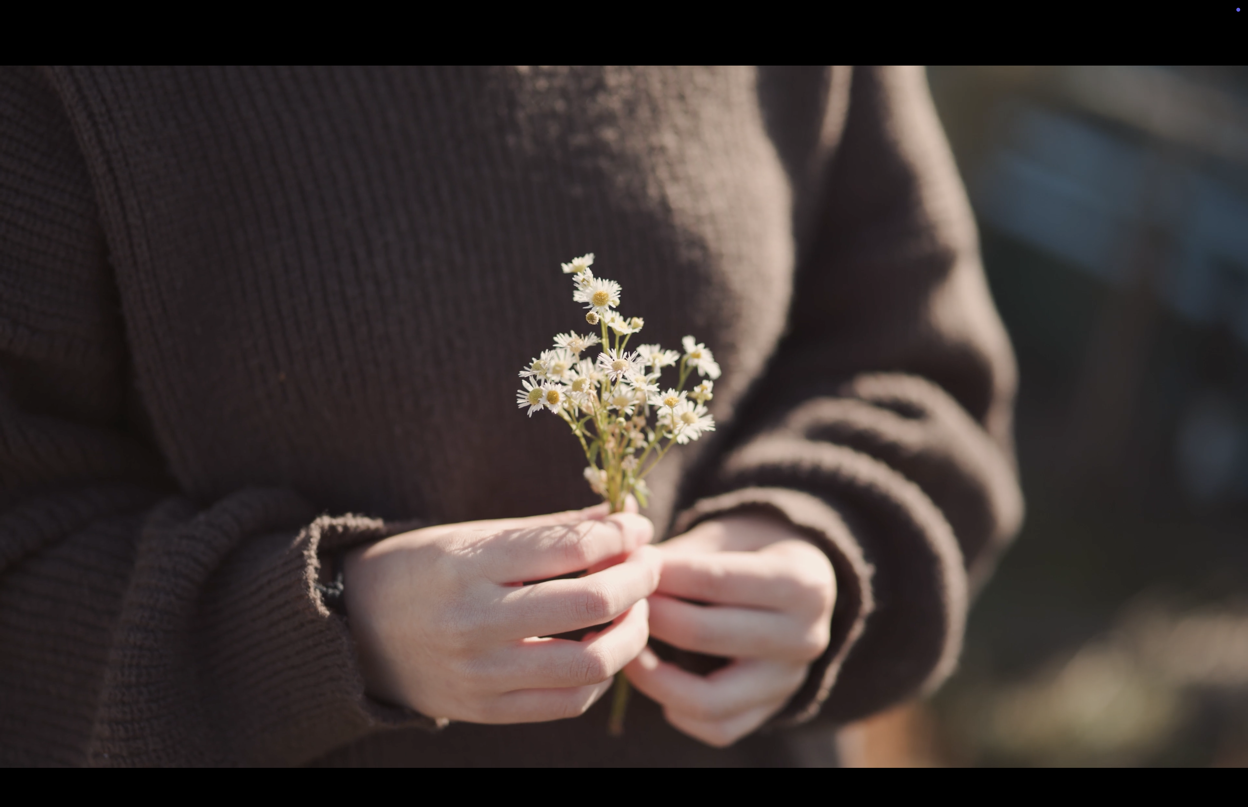 2024「JOSHIBI」　Joshibi University of Art and Design Movie　