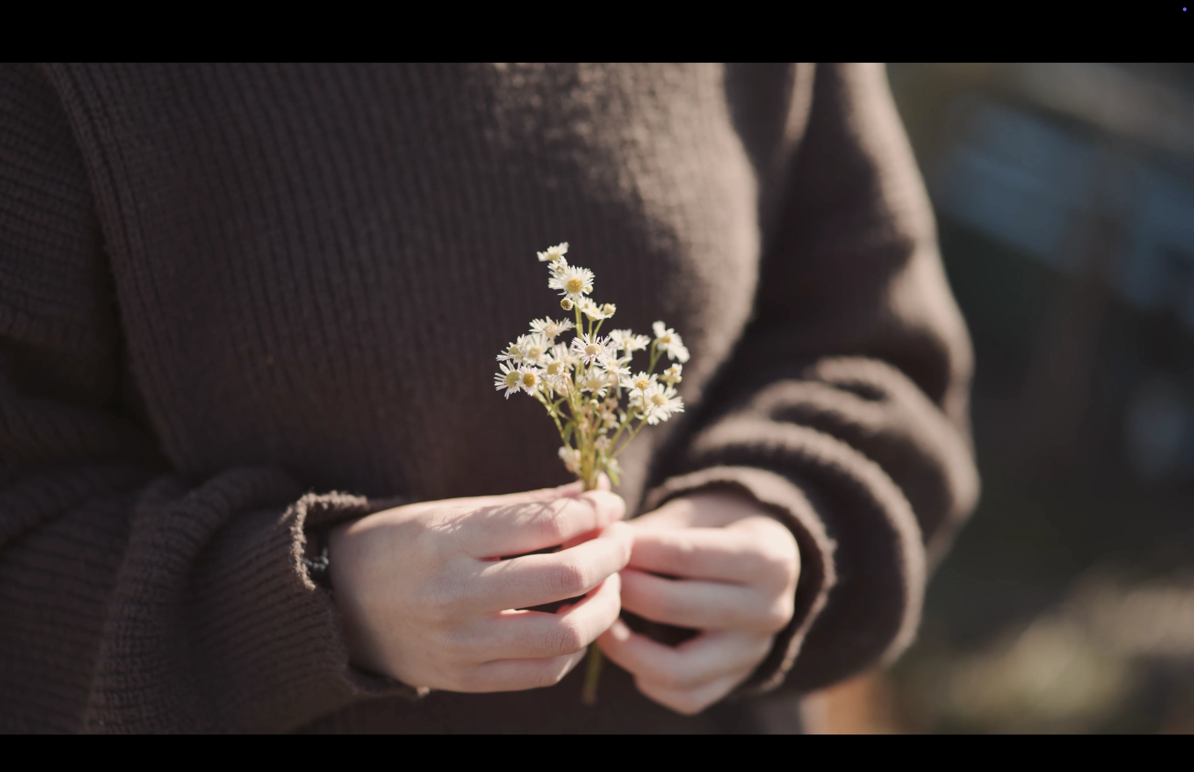 2024「JOSHIBI」 Joshibi University of Art and Design Movie