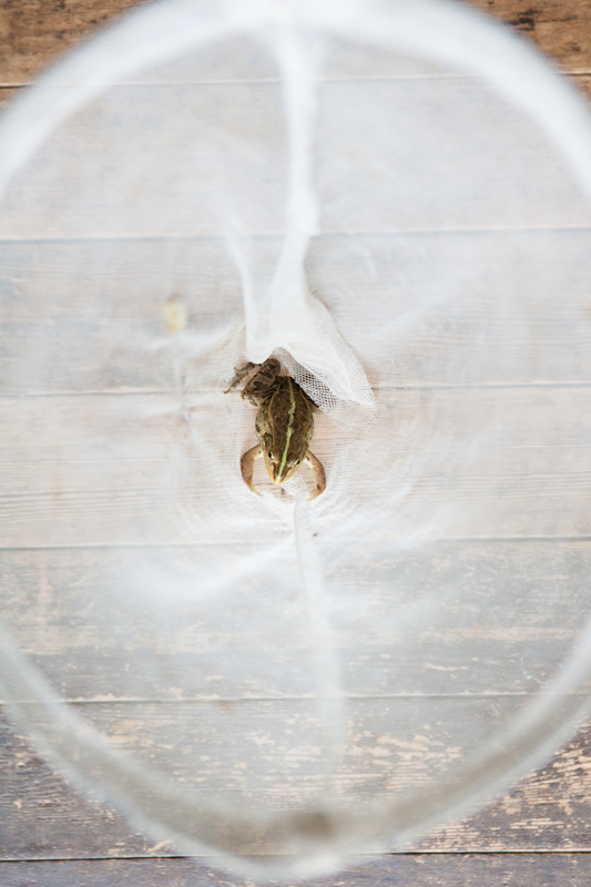 忘れていた時間