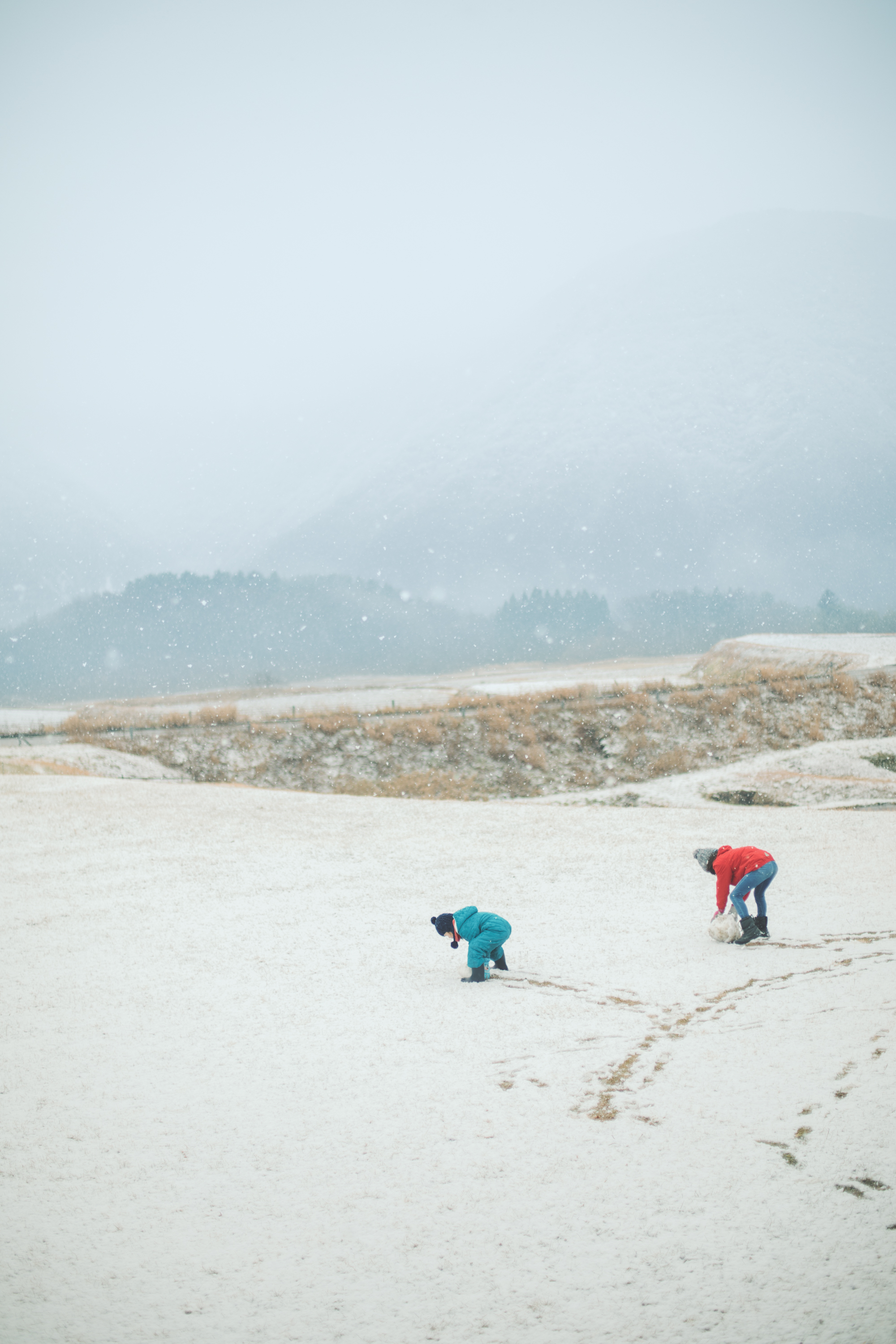 暮しの手帖　トビラ