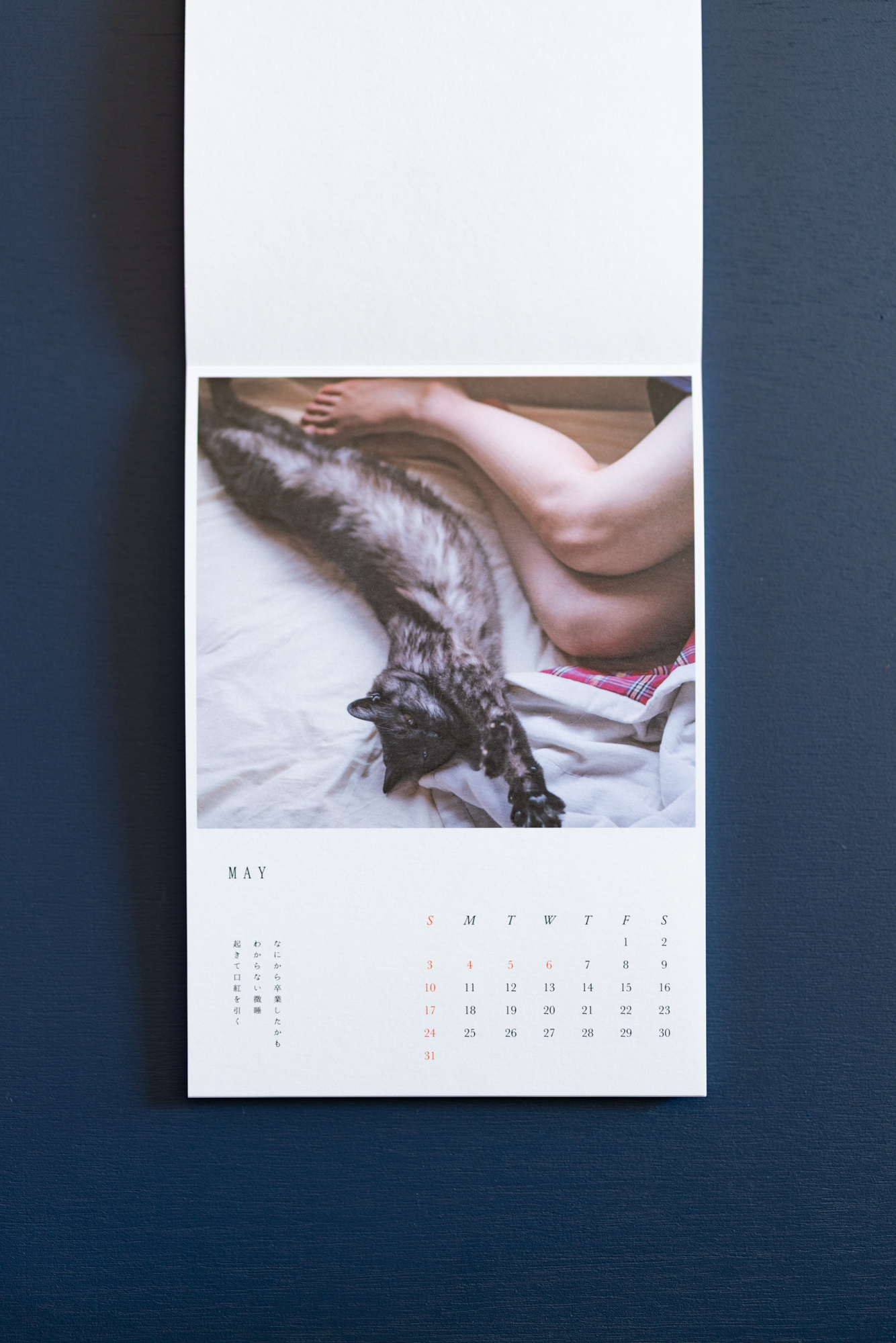 CALENDER 2026 「LONG SEASON」　