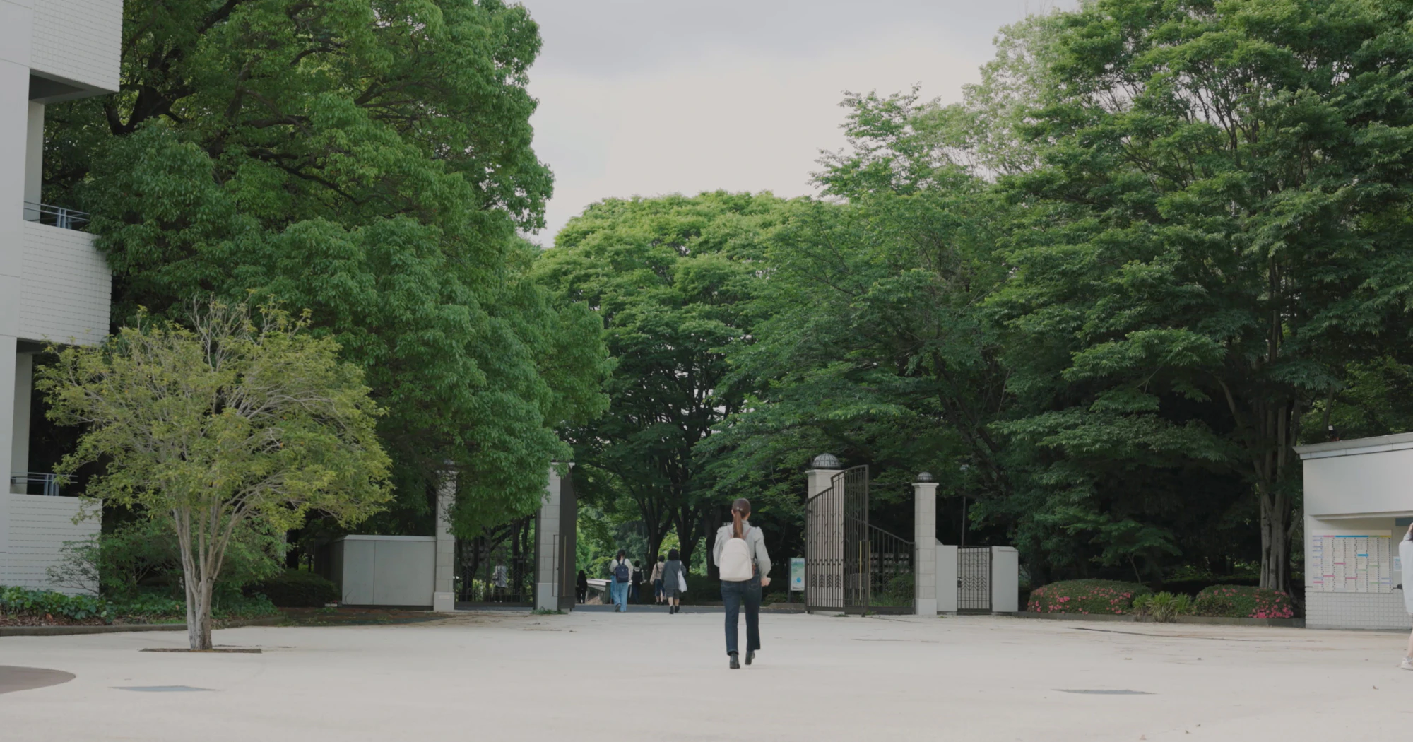 2022年度女子美術大学 卒業記念映像