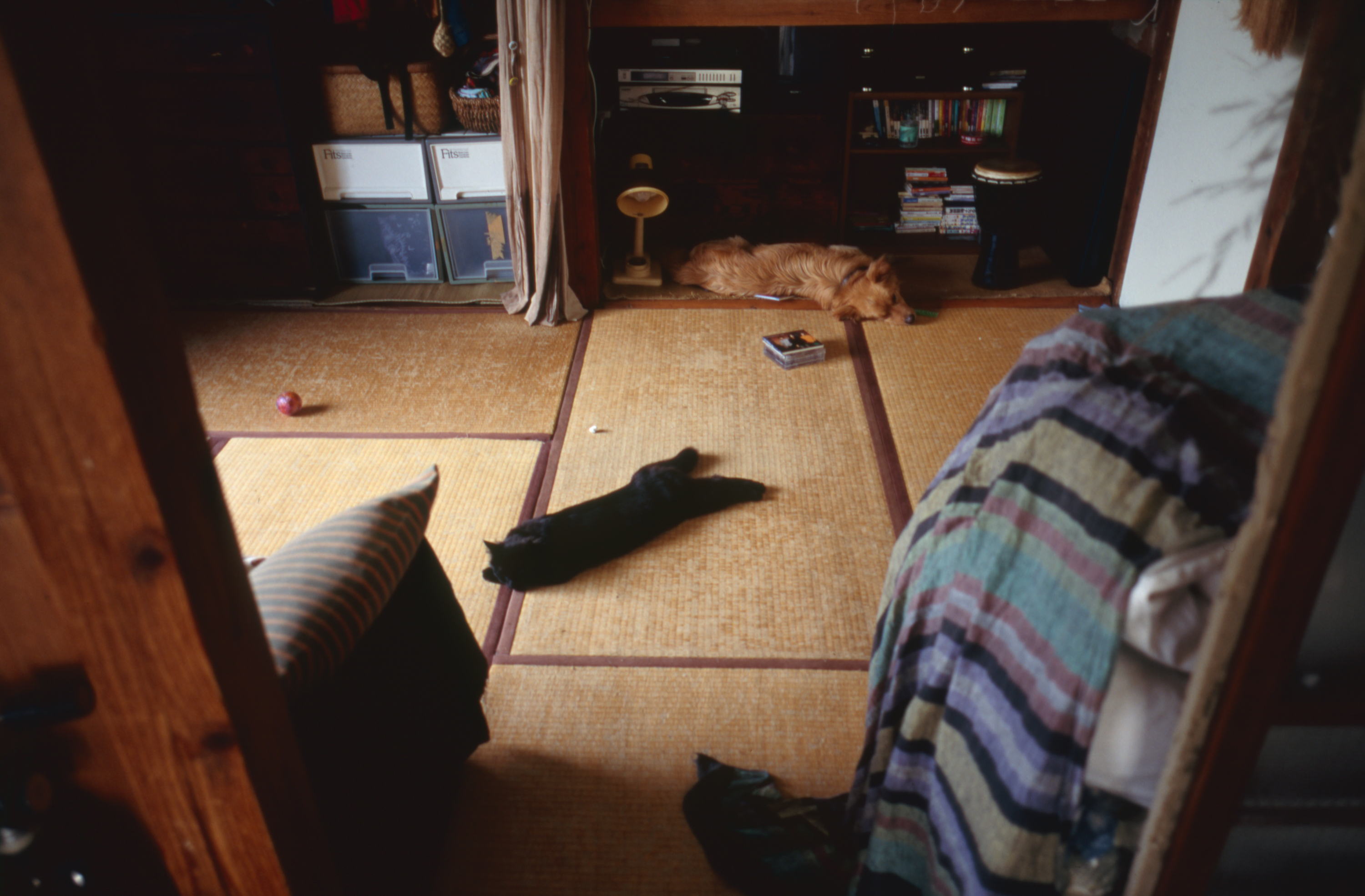 日々の隙間　2005