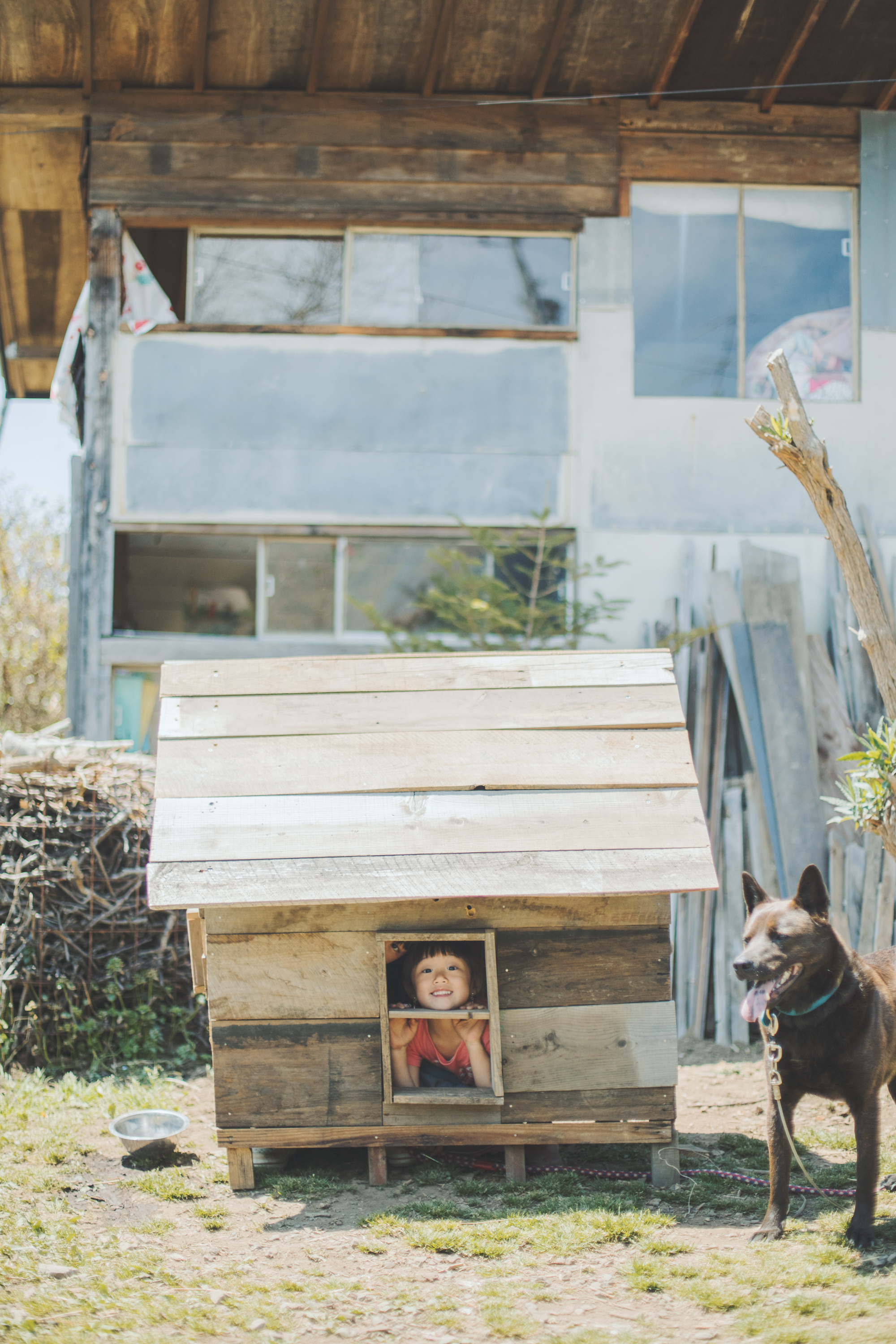 暮しの手帖　トビラ