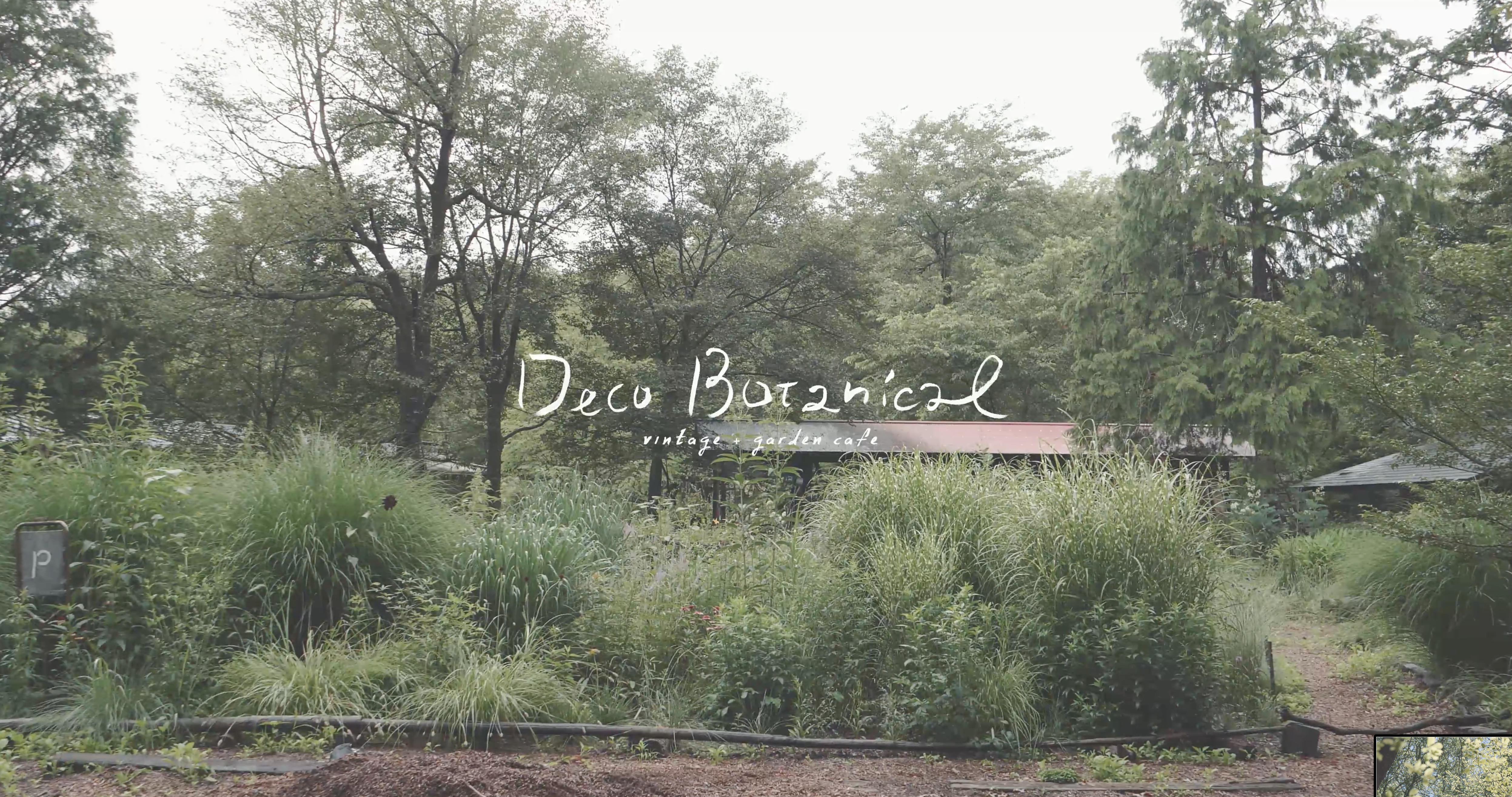 Deco Botanical　PV