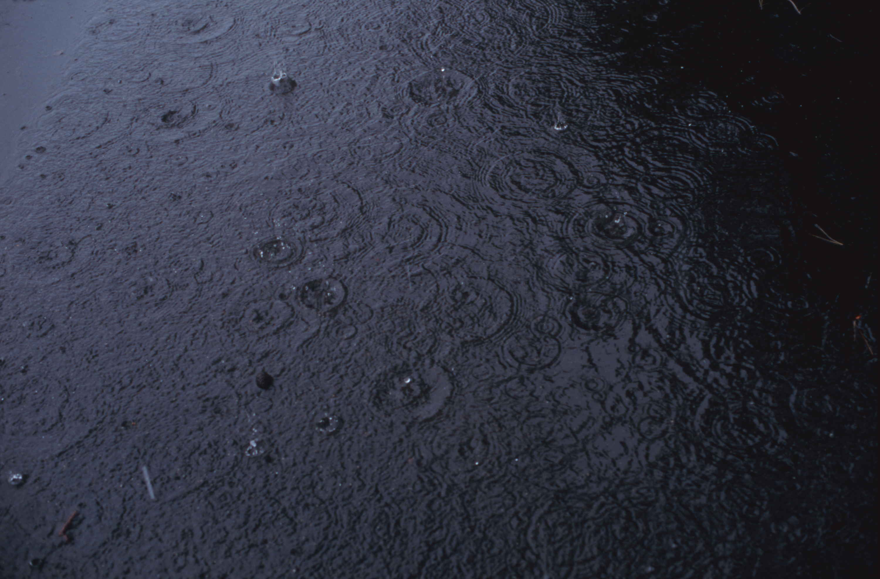 日々の隙間　2005