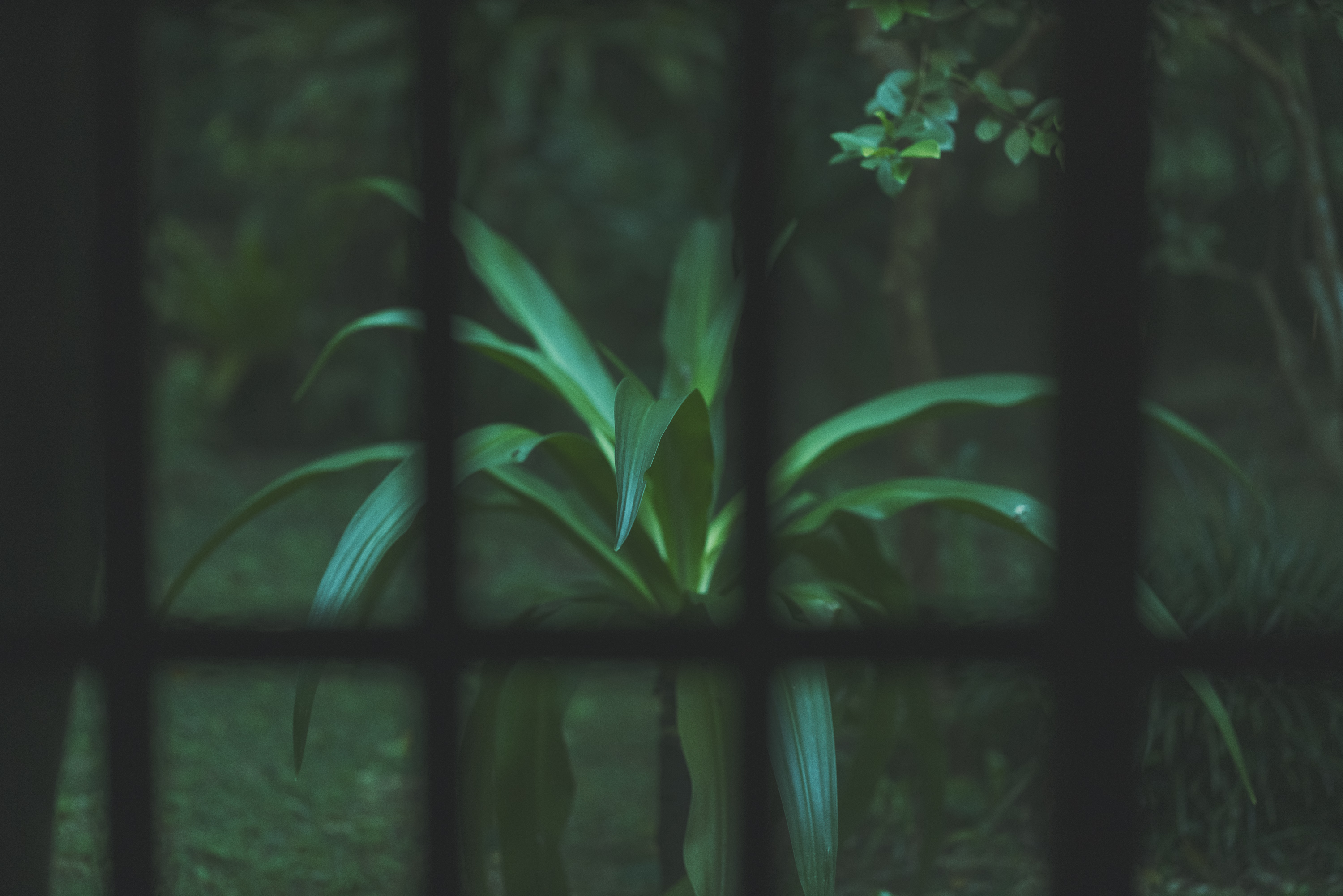 Jurgen Lehl & Babaghuri 2022 summer Collection