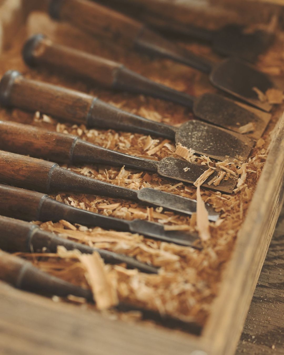 新しい家の記録。