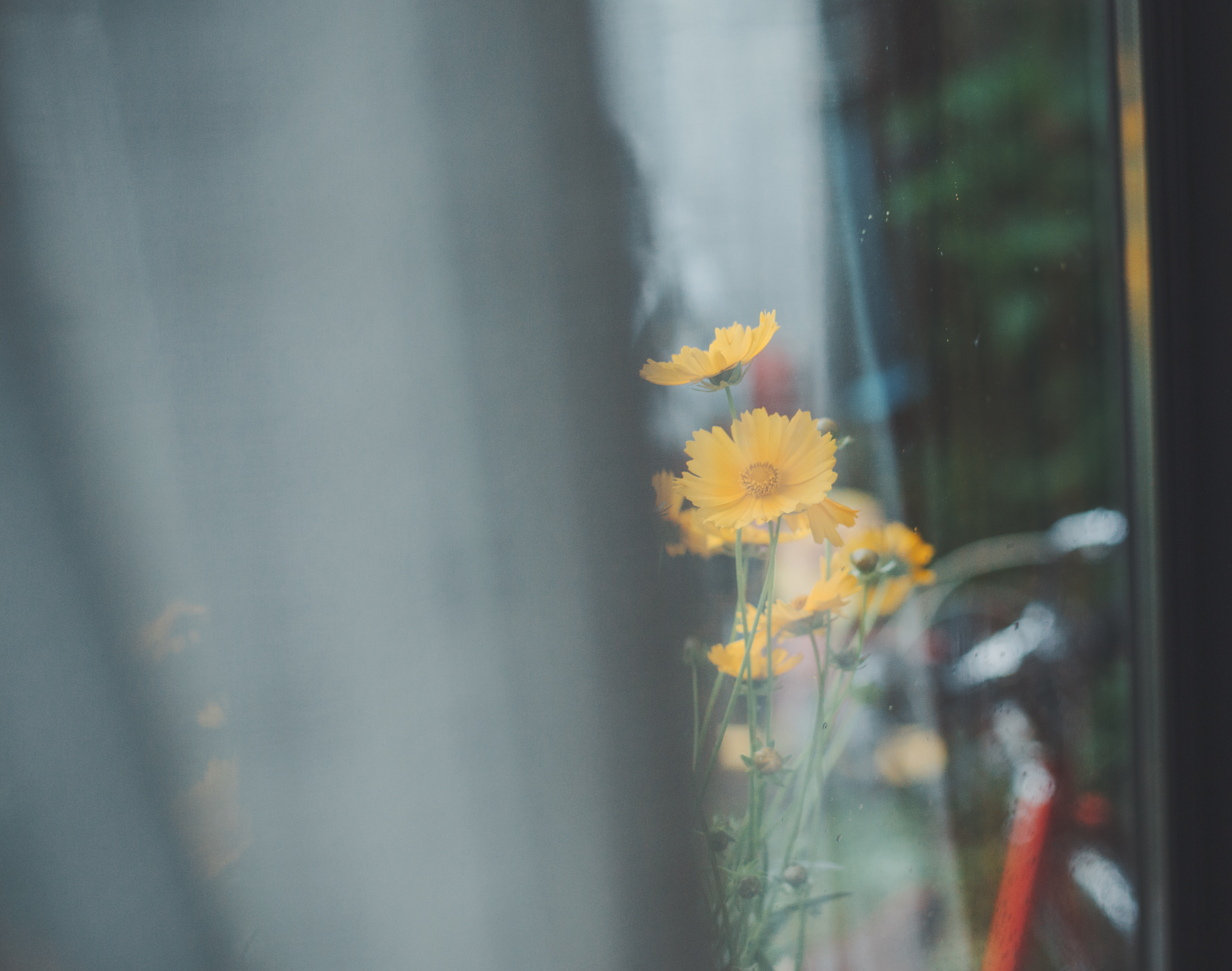 続　日々の隙間　2018