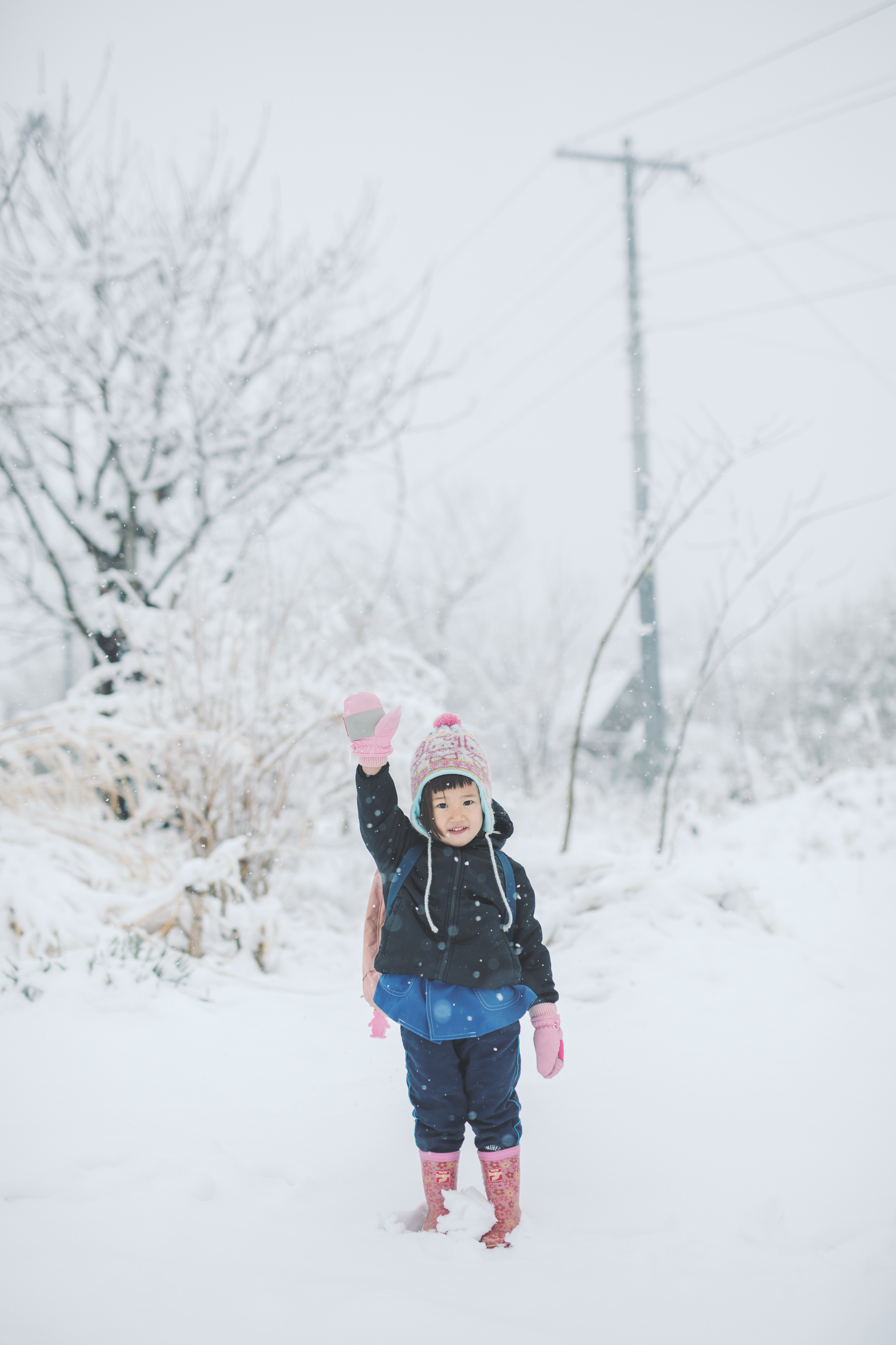 暮しの手帖　トビラ
