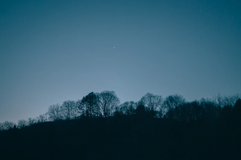 御柱祭 抽籤祈願一。