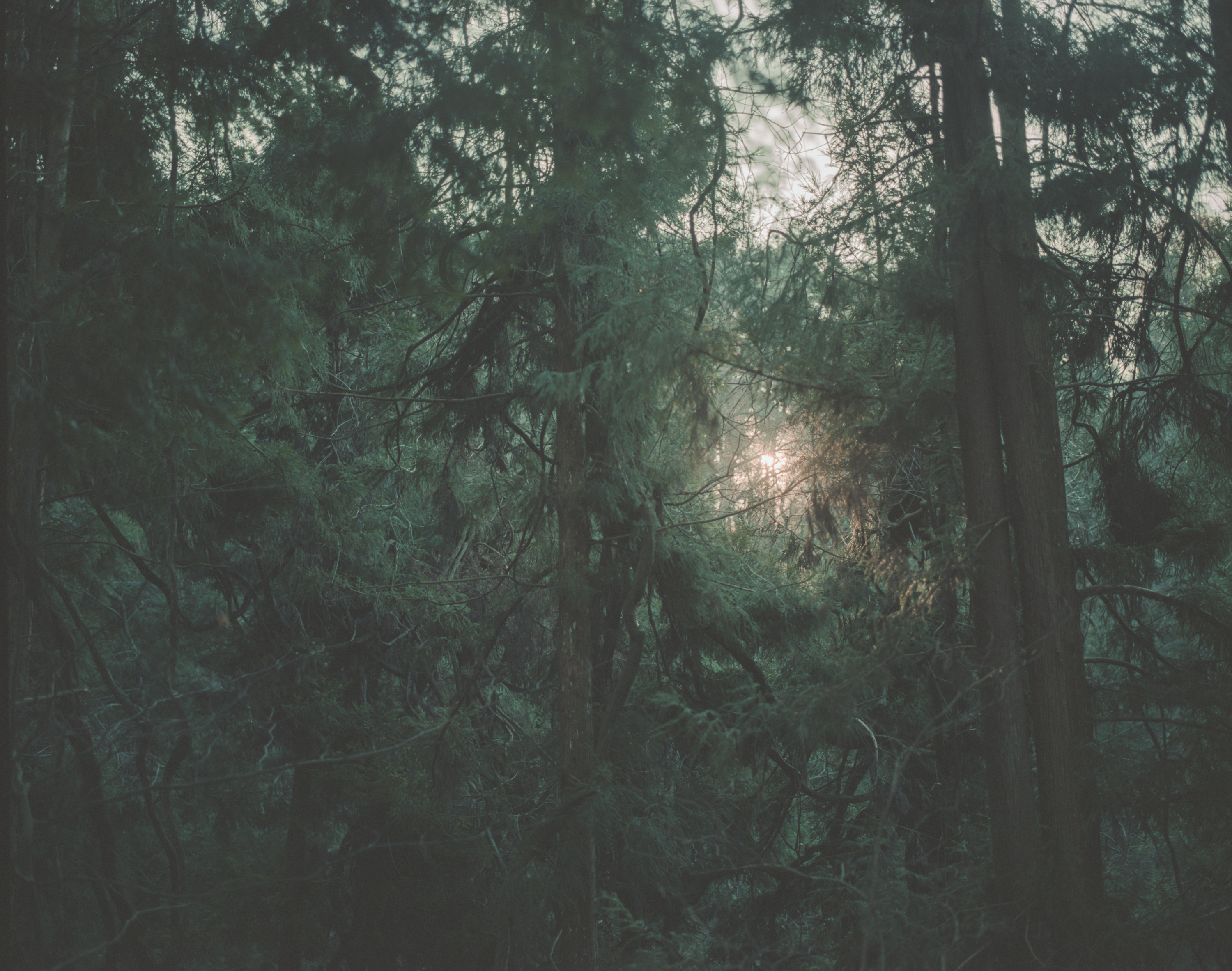 続　日々の隙間　2018