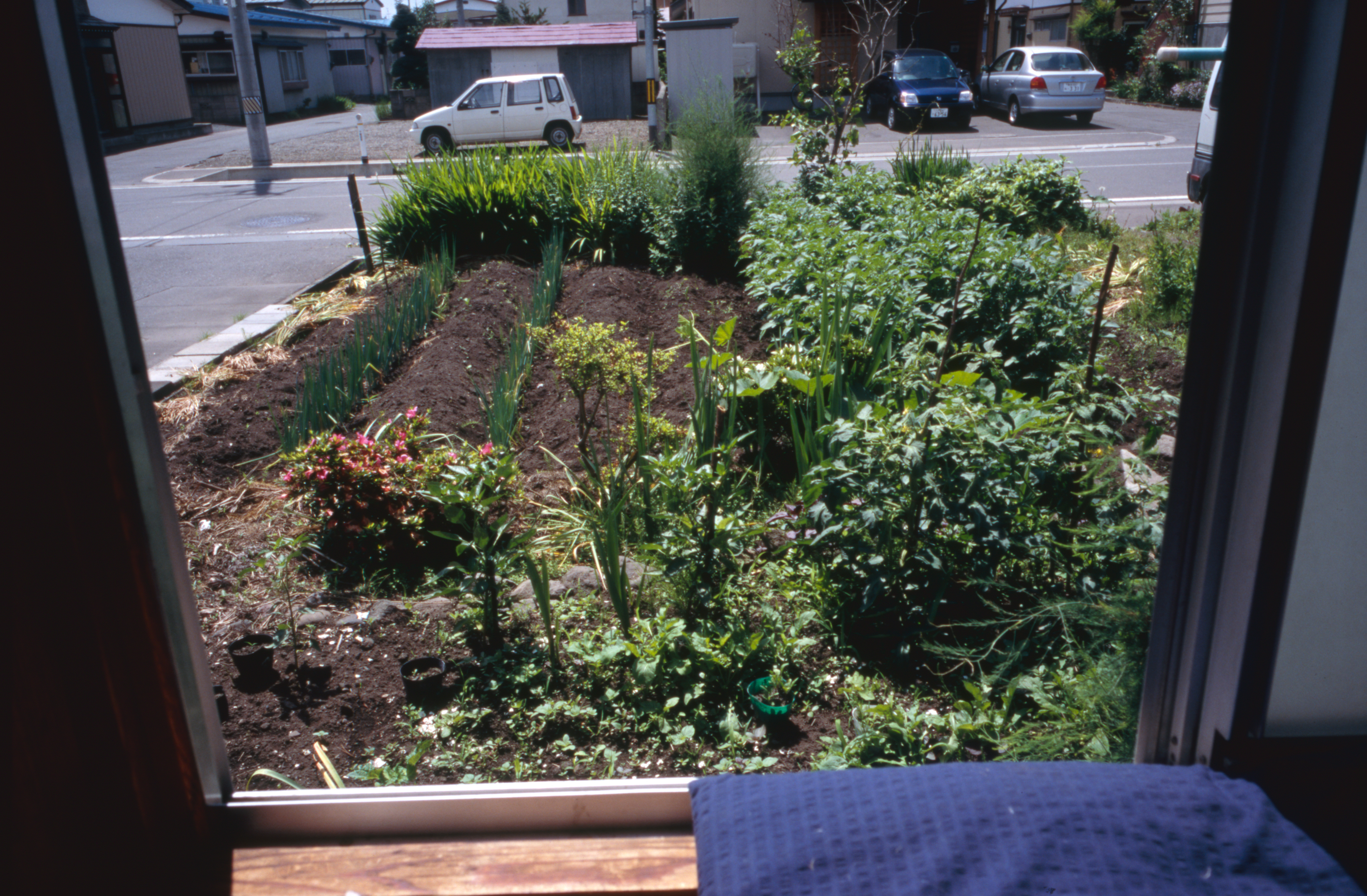 日々の隙間　2005